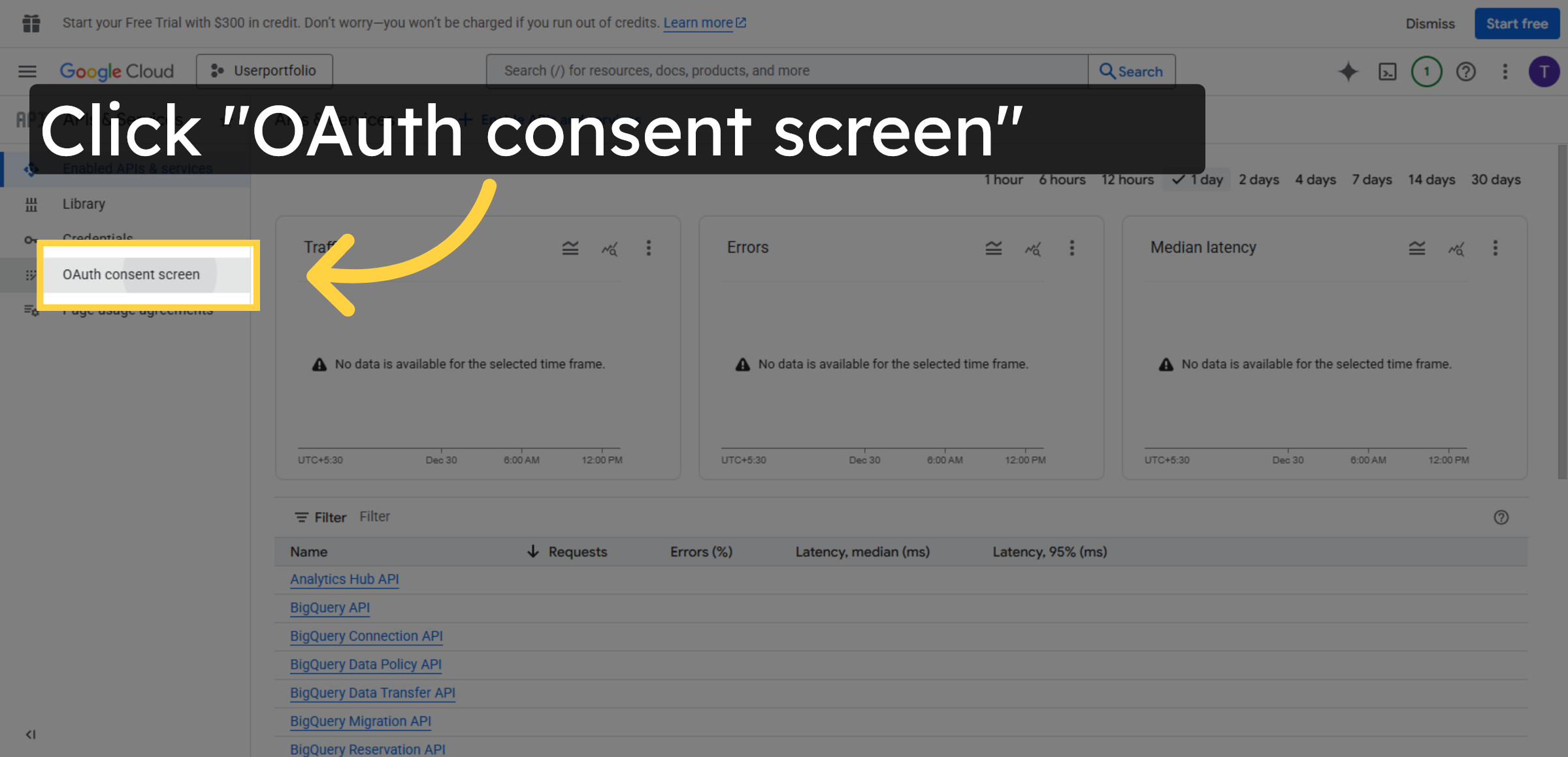 Access OAuth Consent Screen