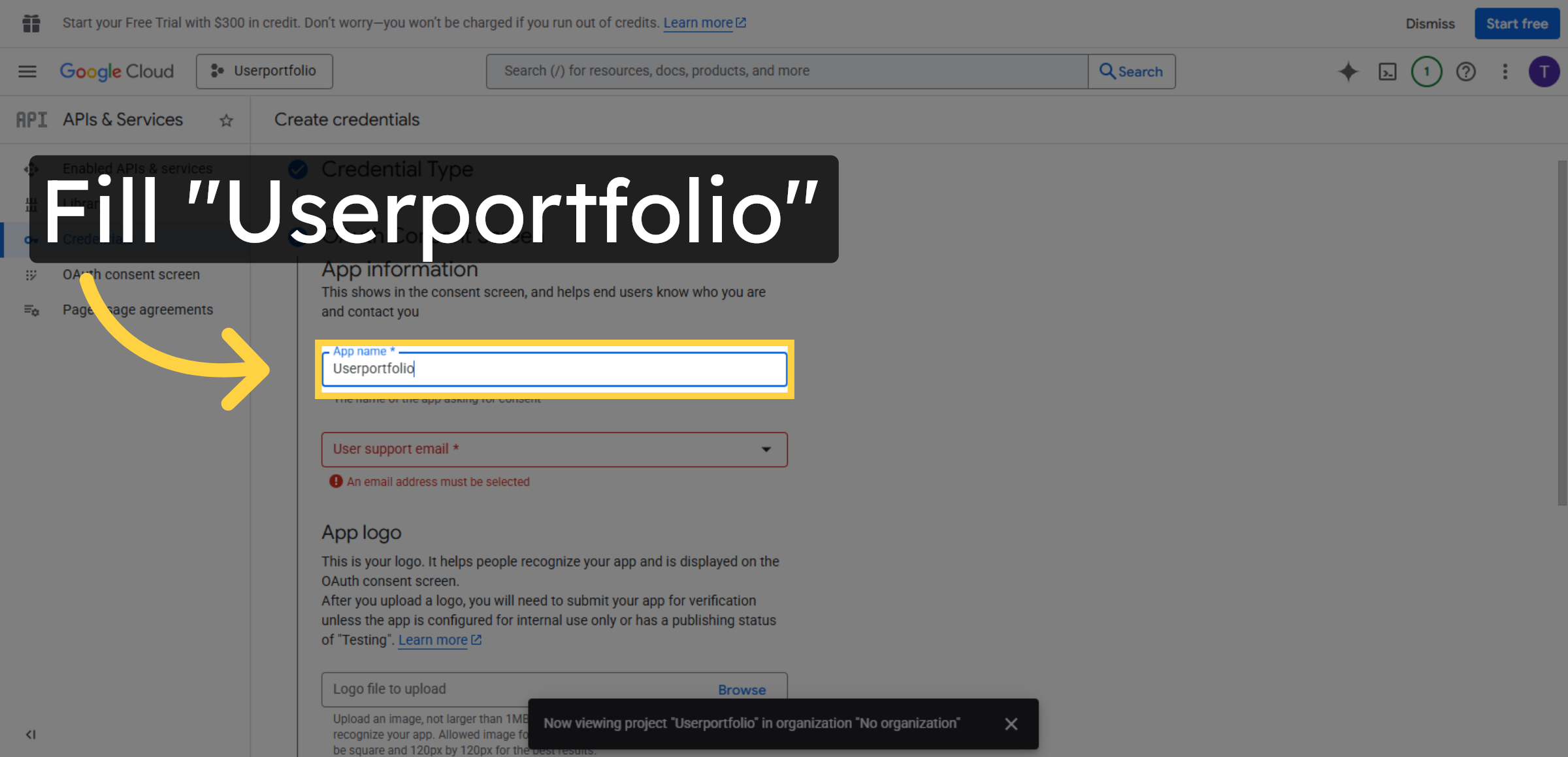 Fill App Name Userportfolio