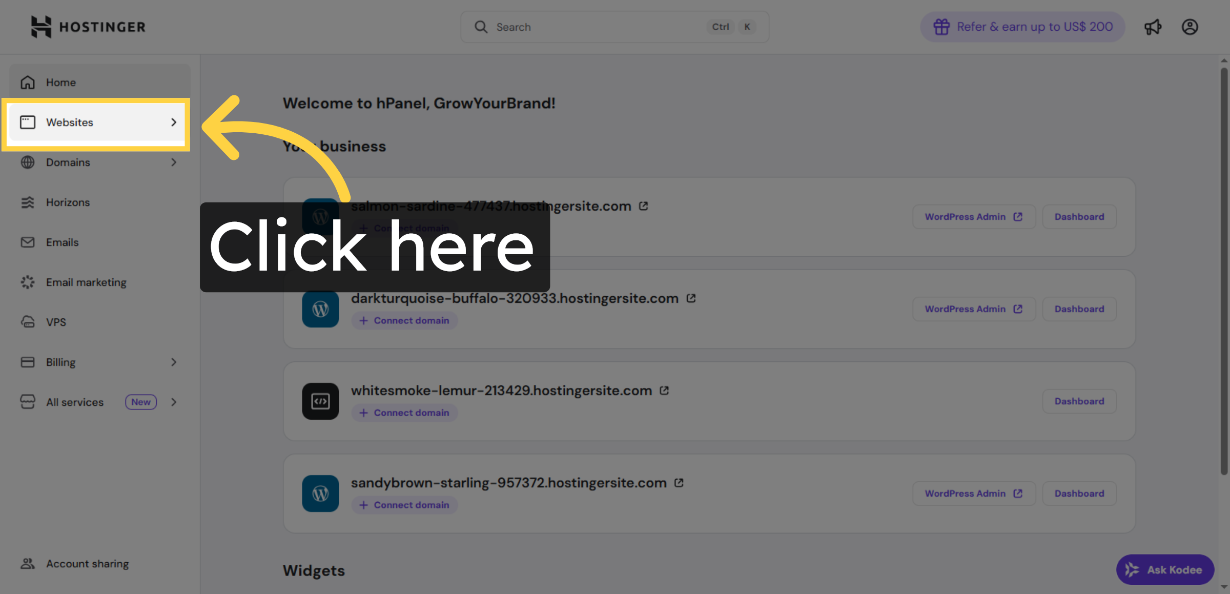Click Hostinger Website Section