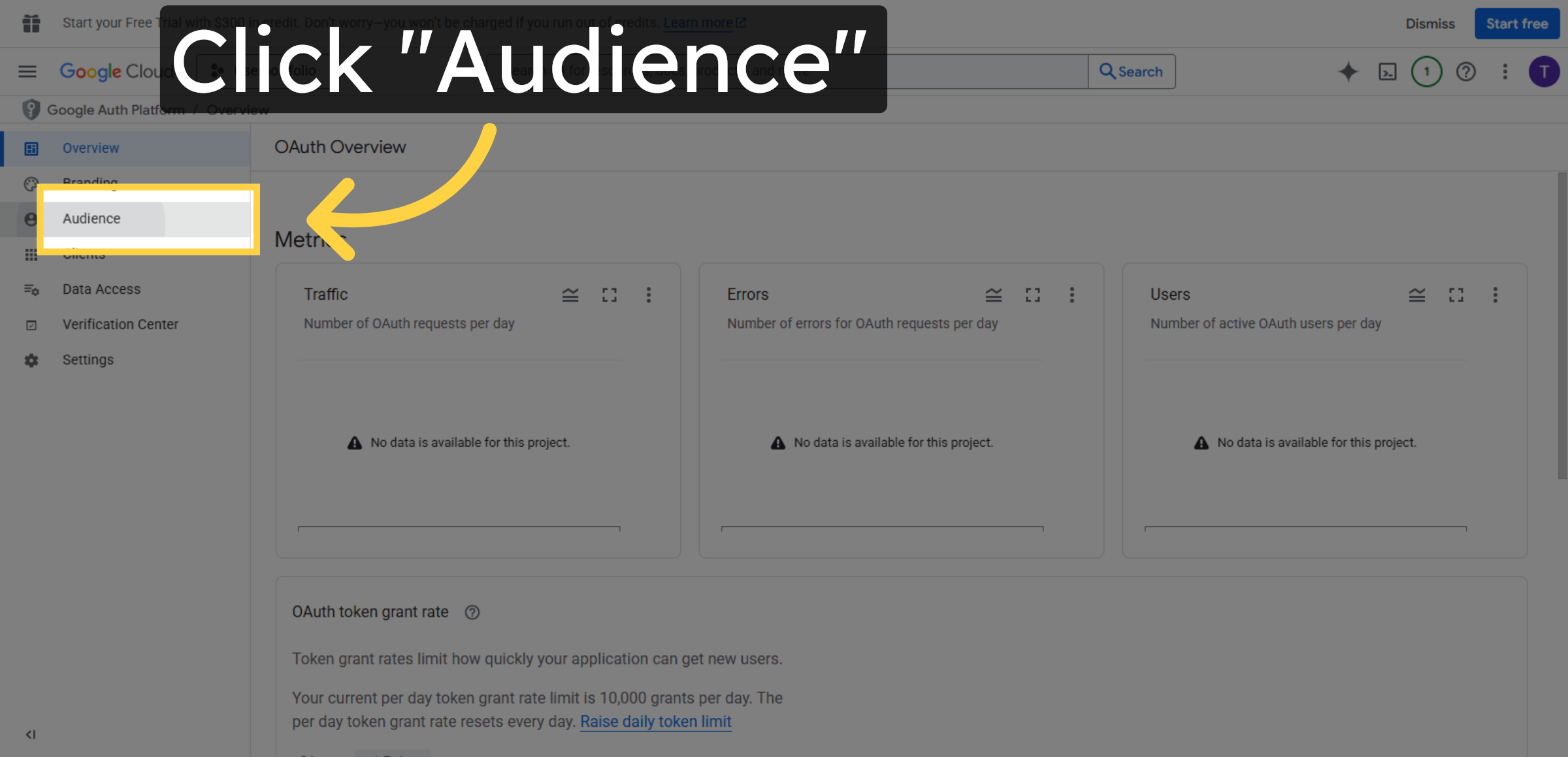 Open Audience Section