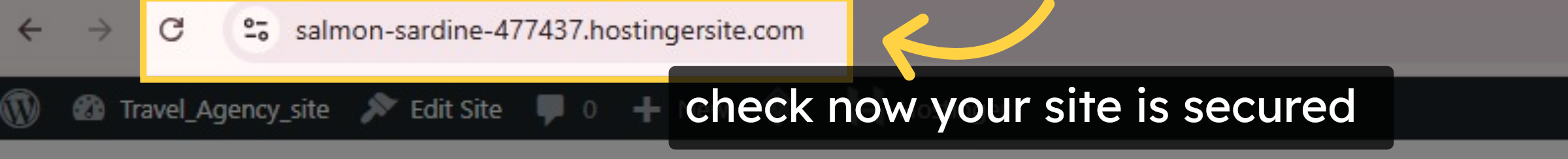 check now your site is secured