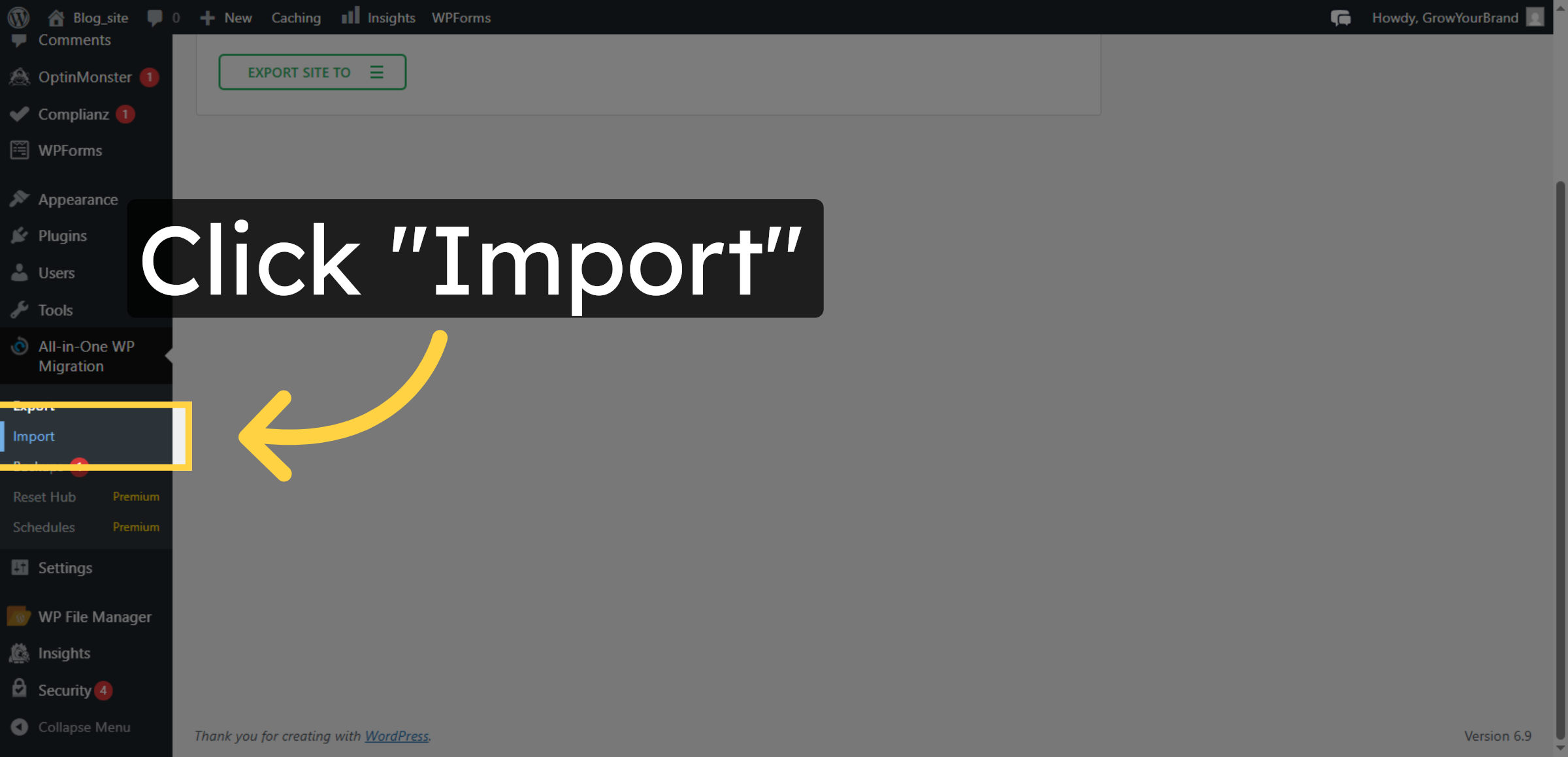 Select Import Option