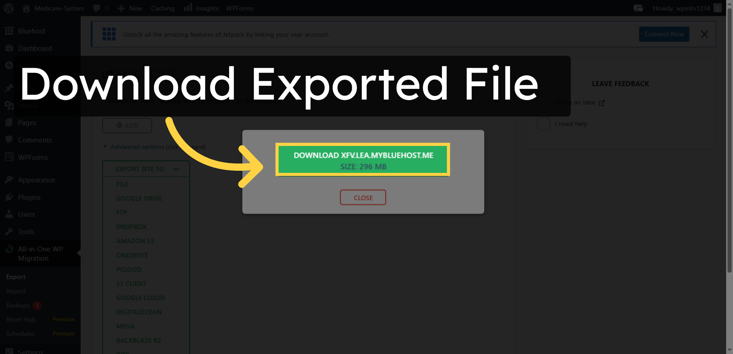 Download Exported File