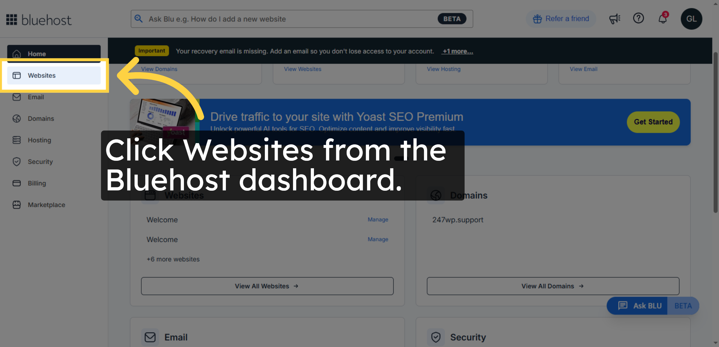 Open Websites Section