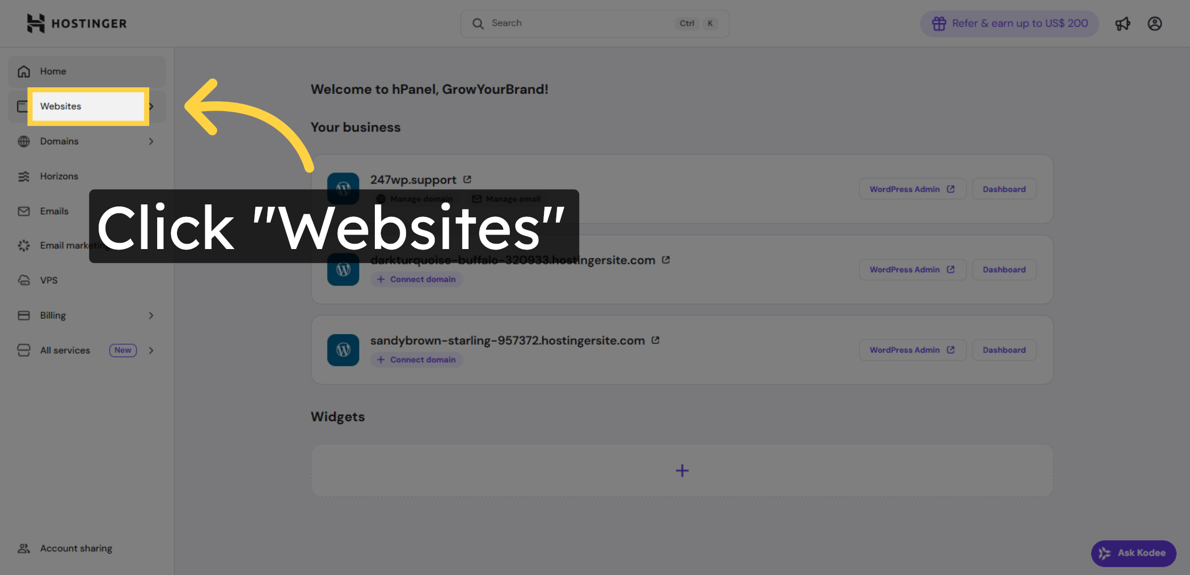 Open Websites Section