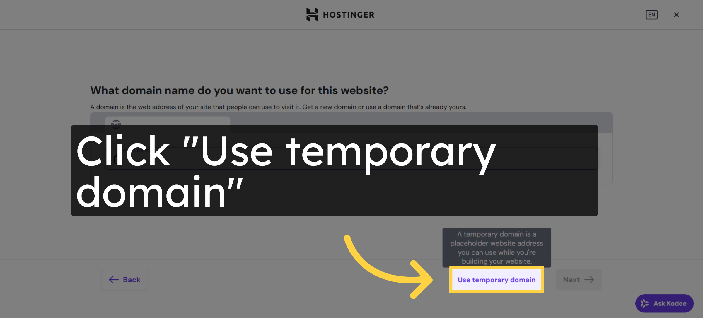 Use Temporary Domain