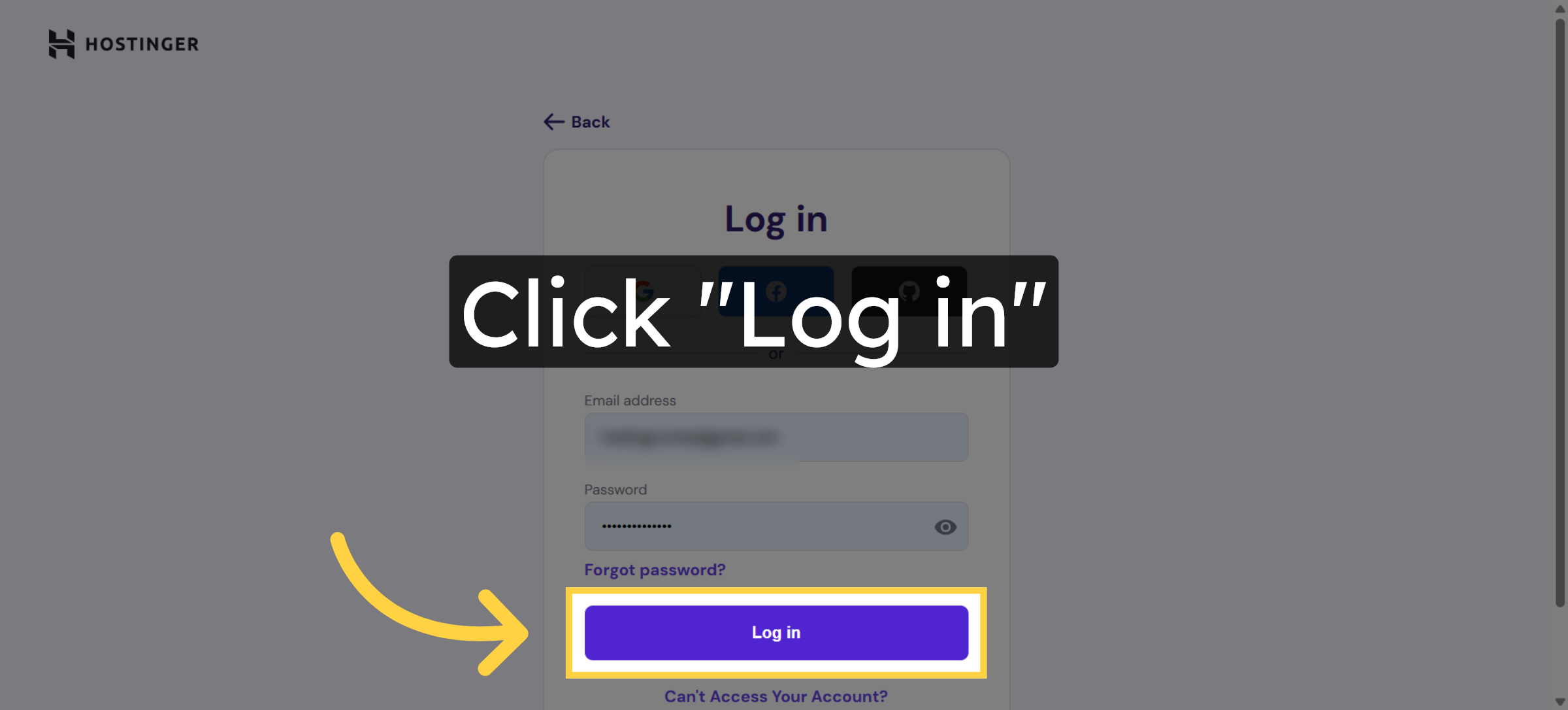 Click Log In Button