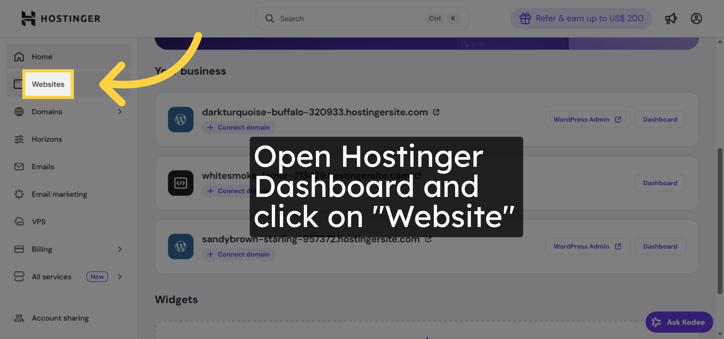 Open Websites Section