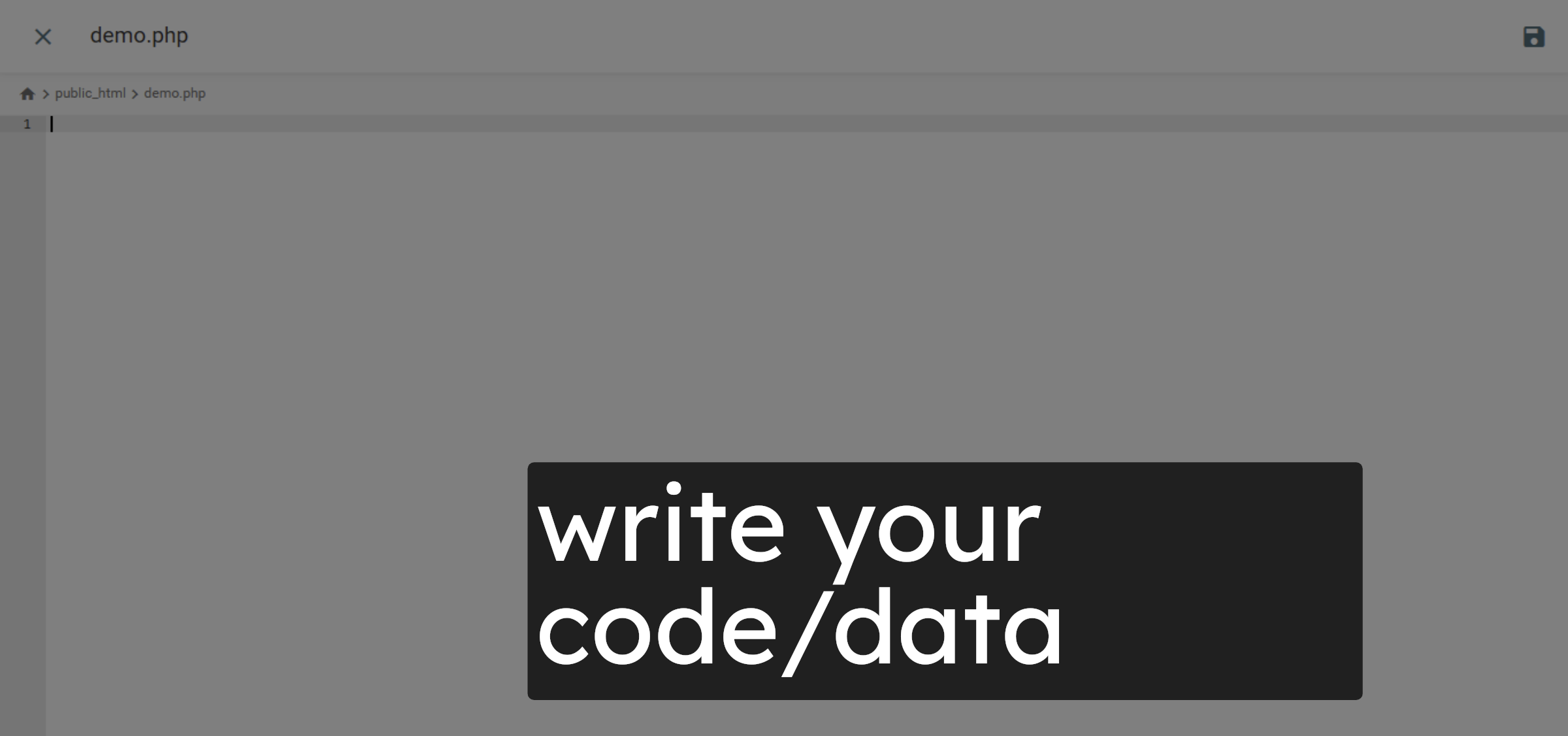 Writing Data/code
