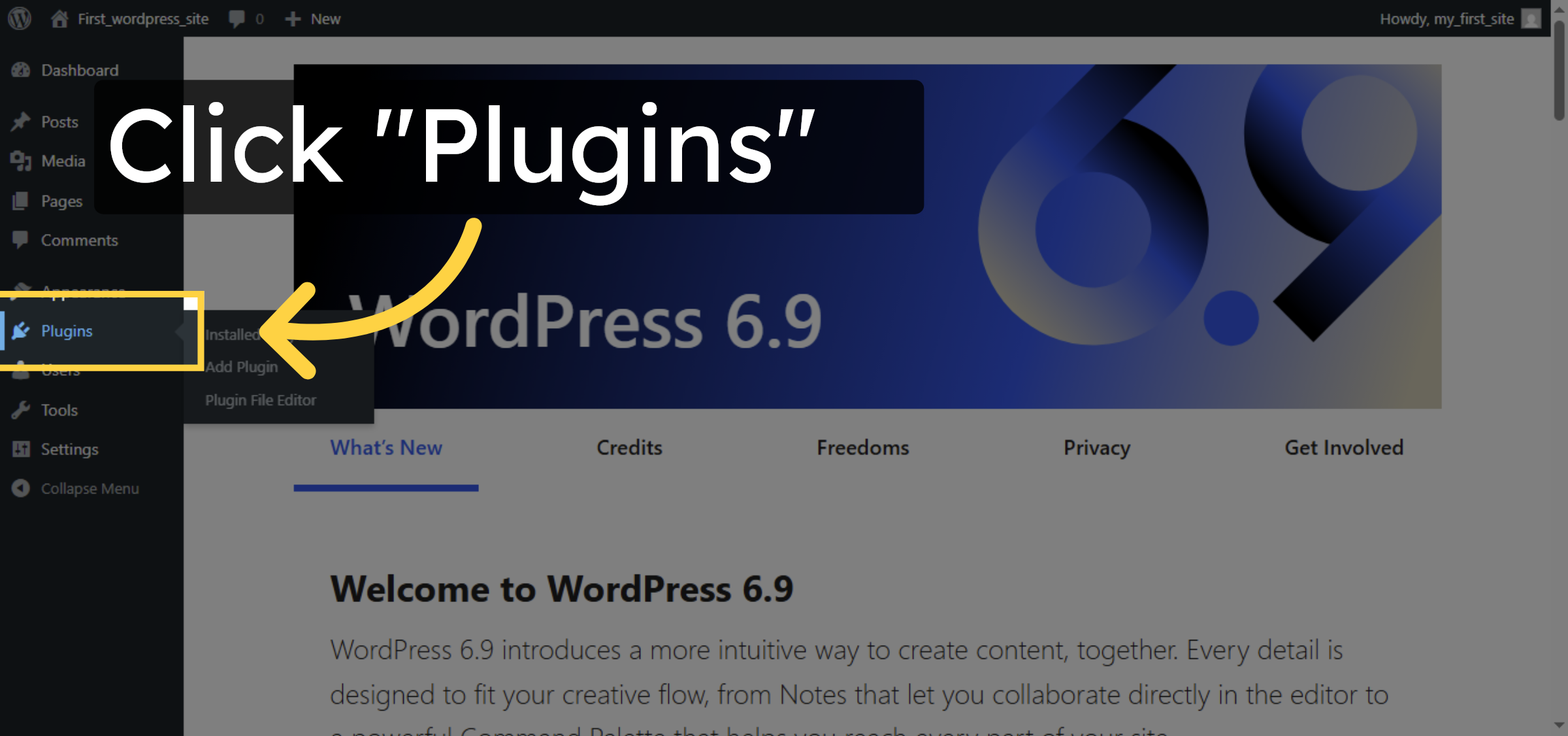 Open Plugins Section