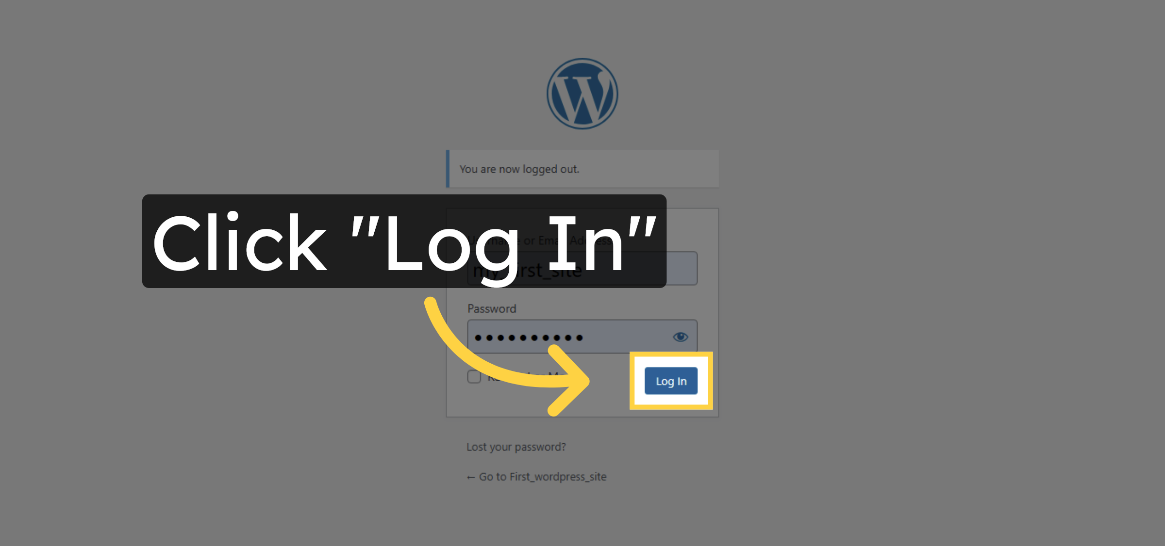 Click Log In Button
