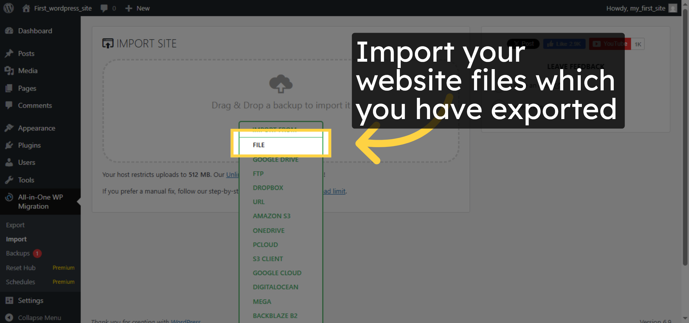 Open Import File Selector