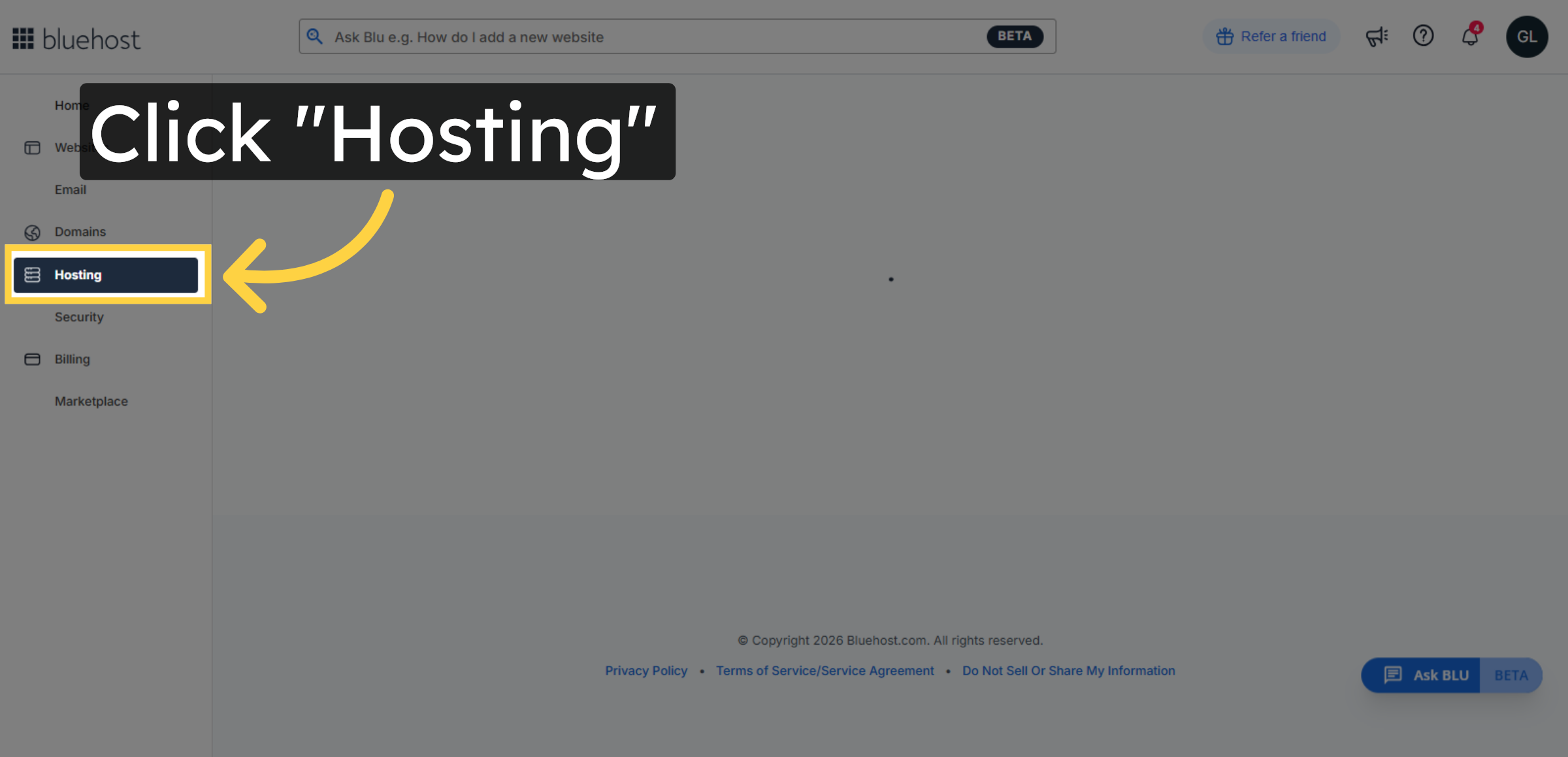 Access Hosting Section