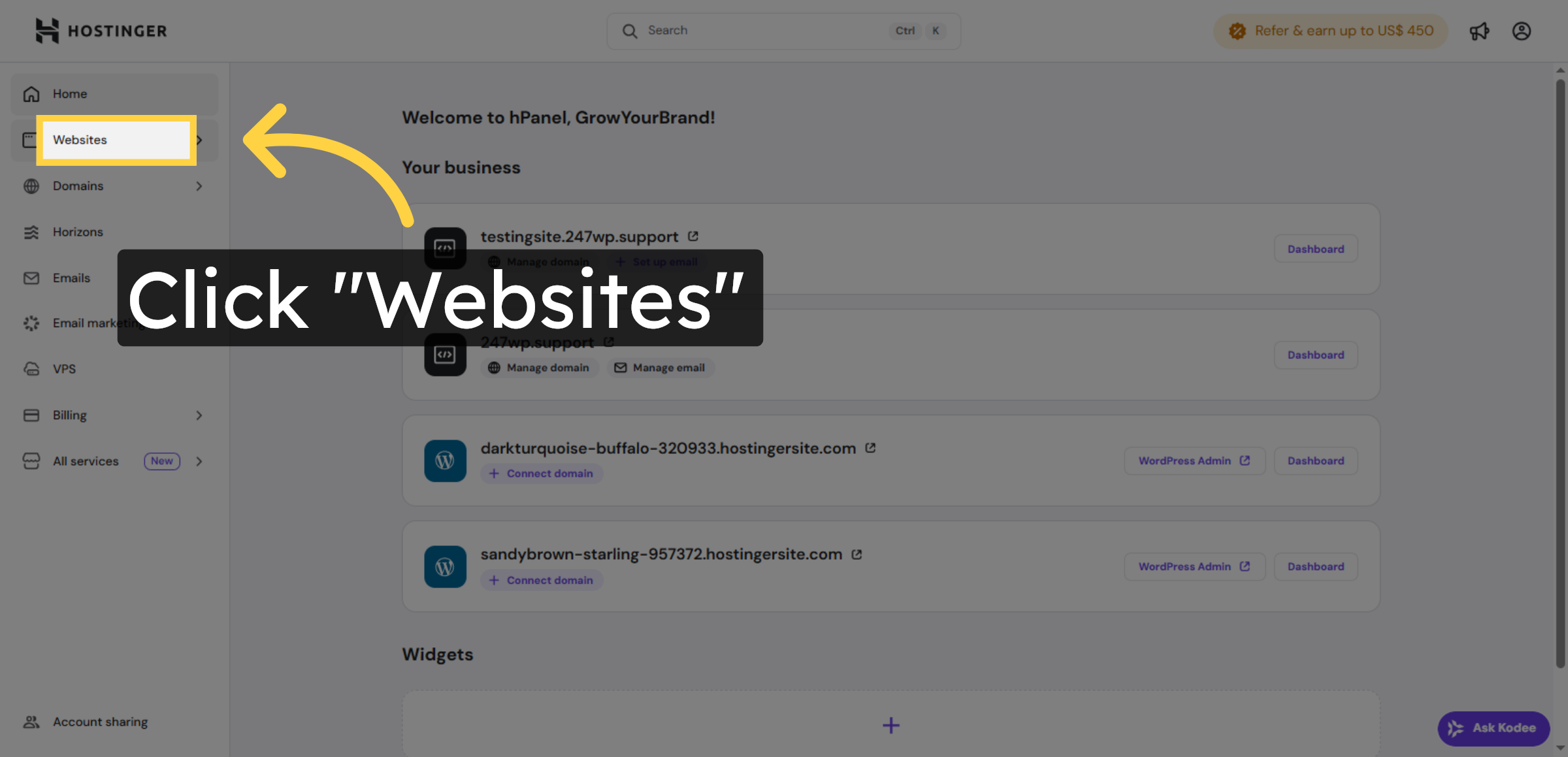 Navigate to Websites Section