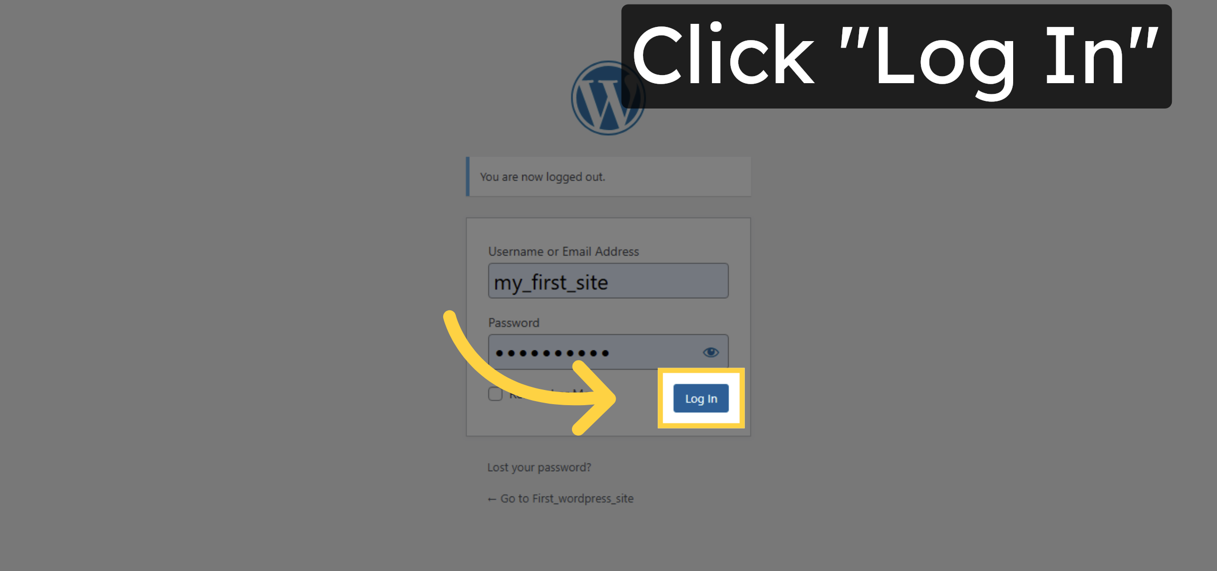 Click Log In Button