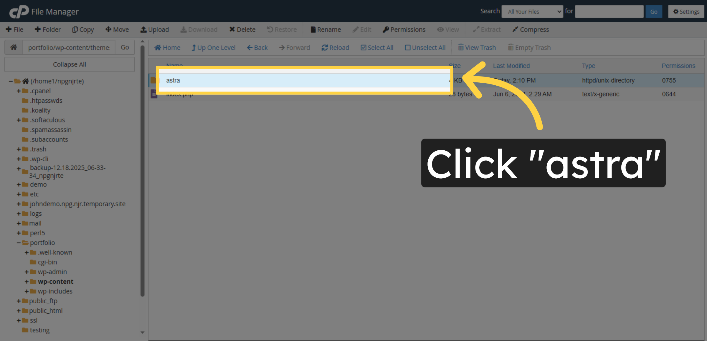 Open Astra Theme Folder Again