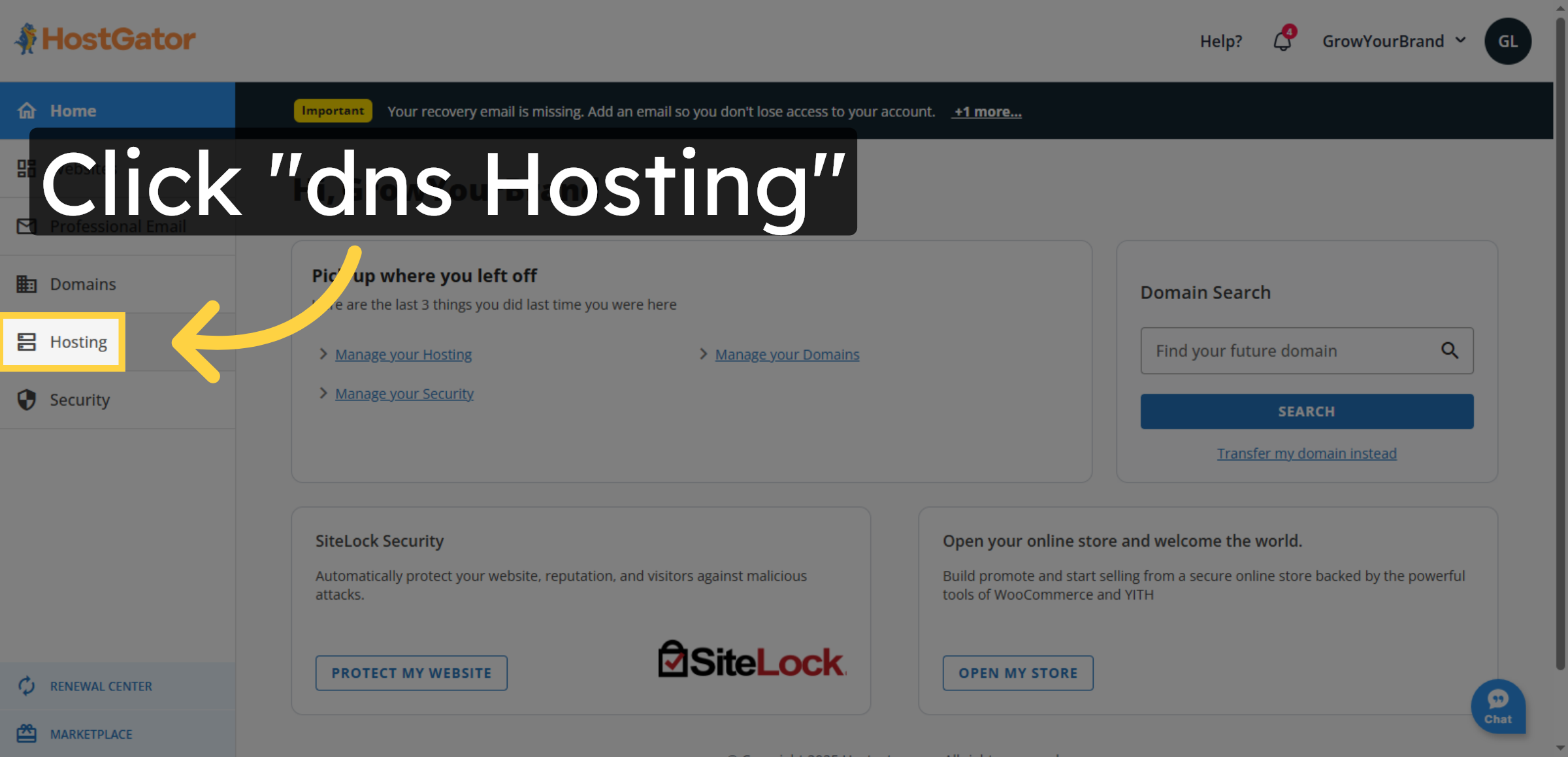 Access DNS Hosting