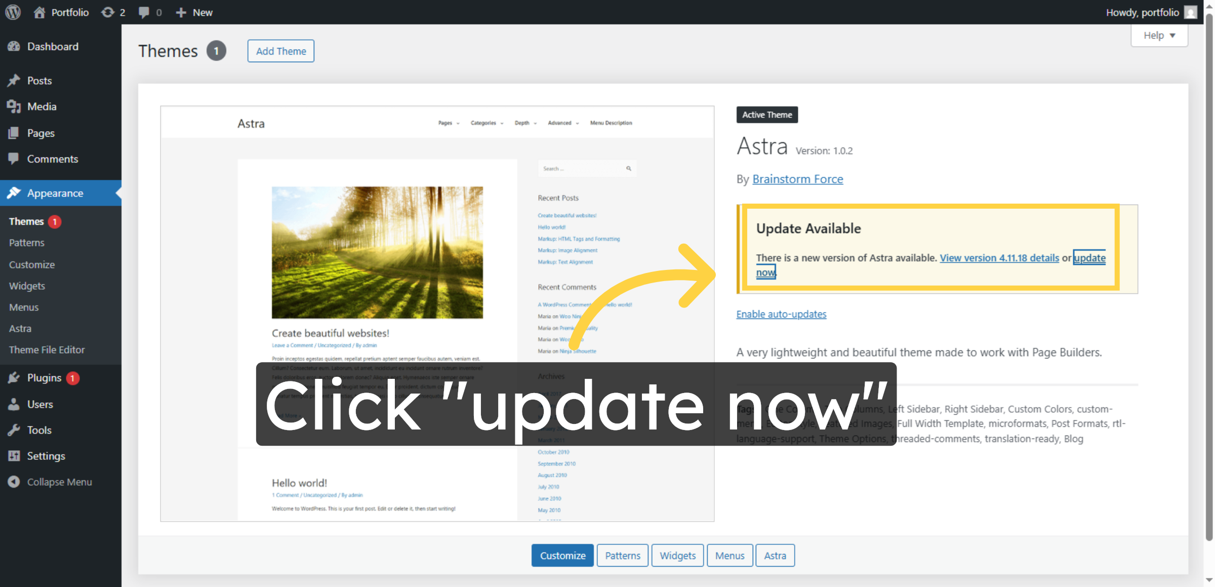 Click Update Now Link