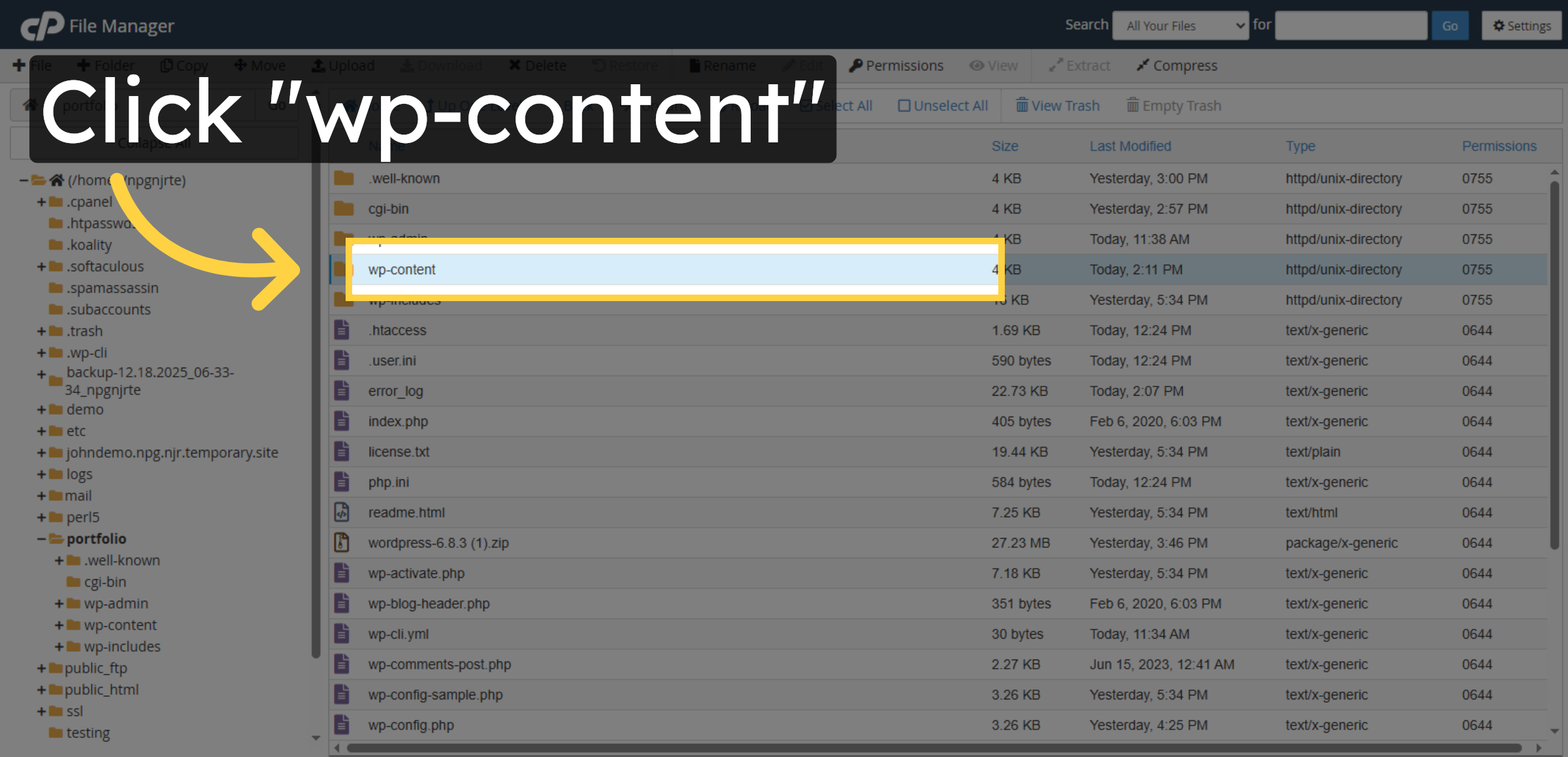 Open wp-content Folder Again