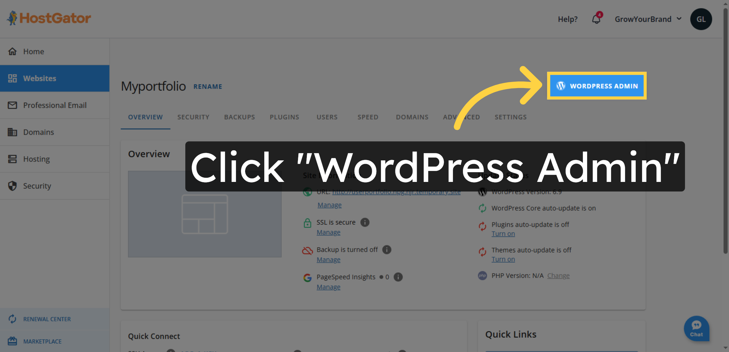 Enter WordPress Admin