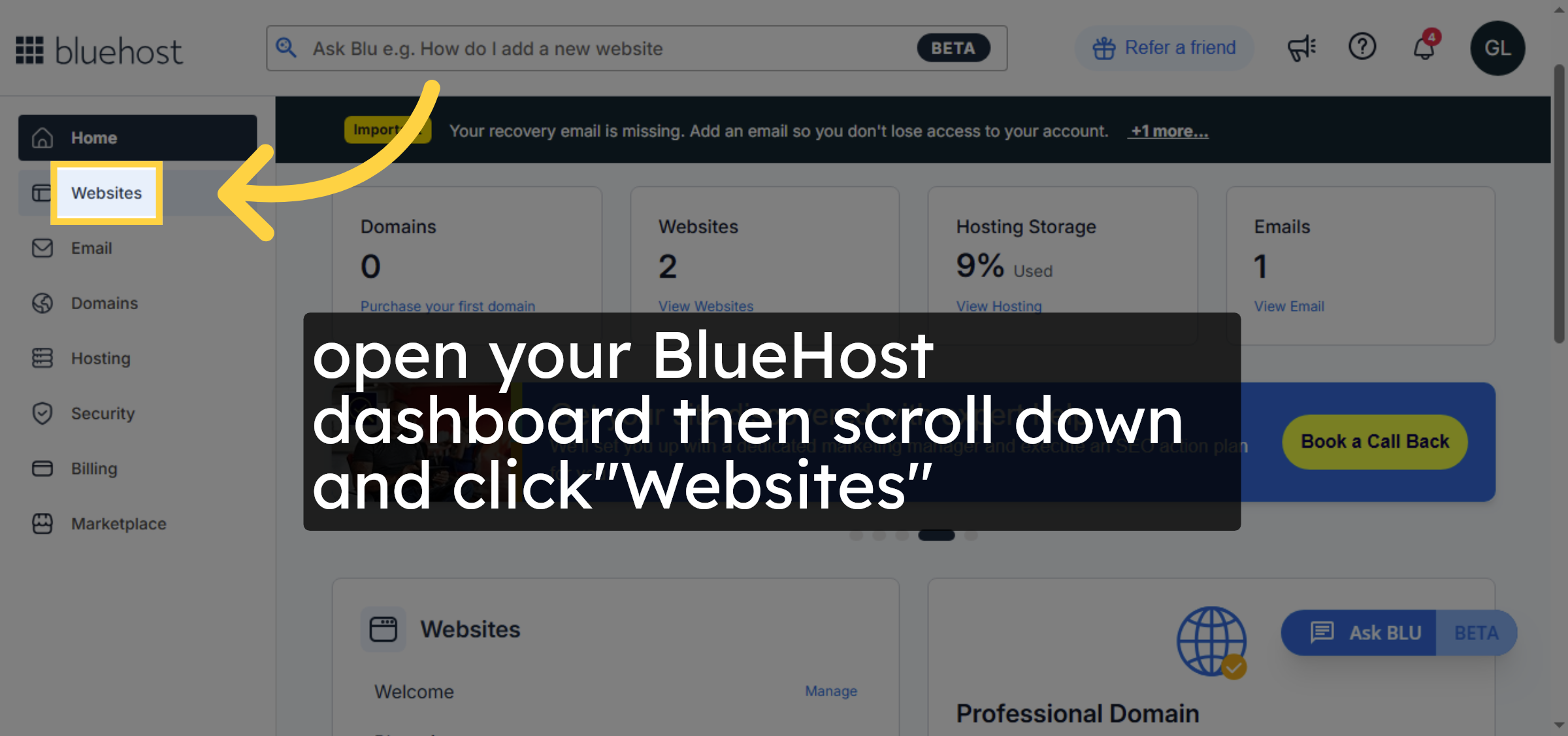 Navigate to Websites Section
