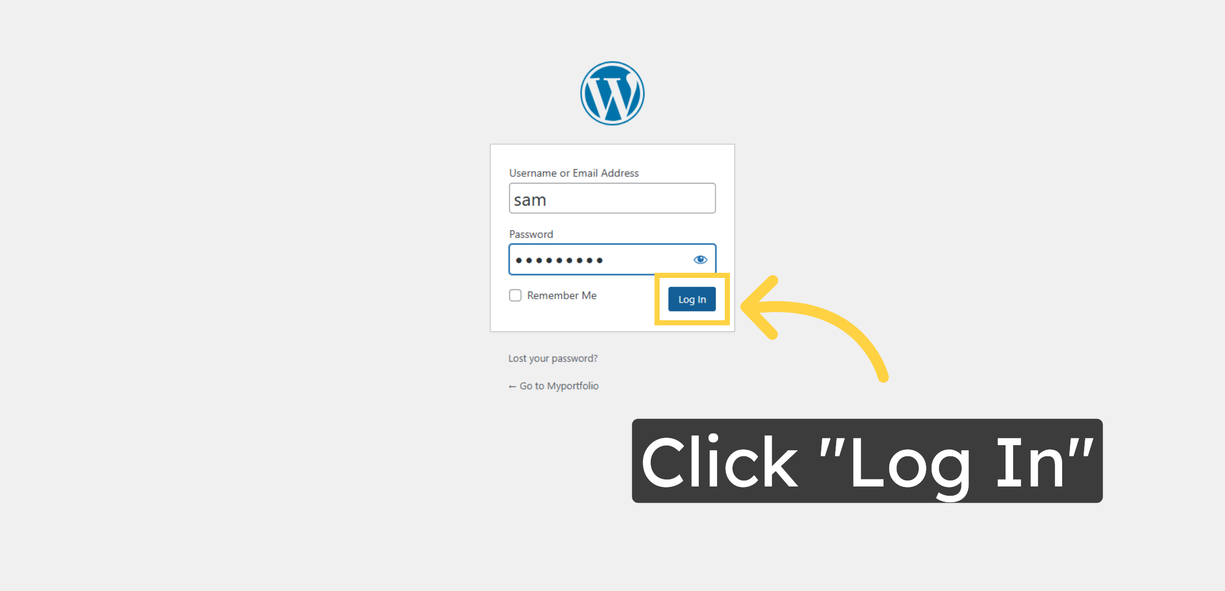 Login to WordPress Admin Panel