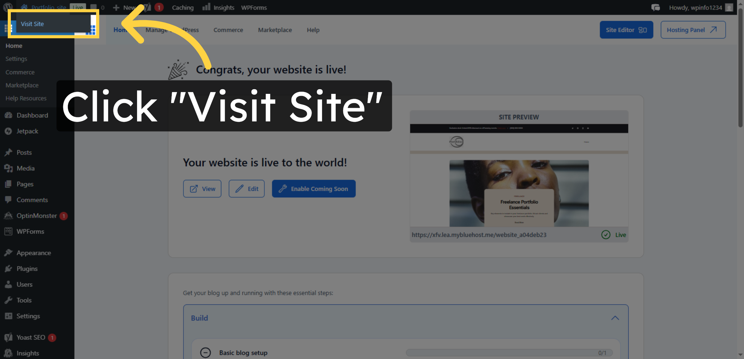 Visit Published Site