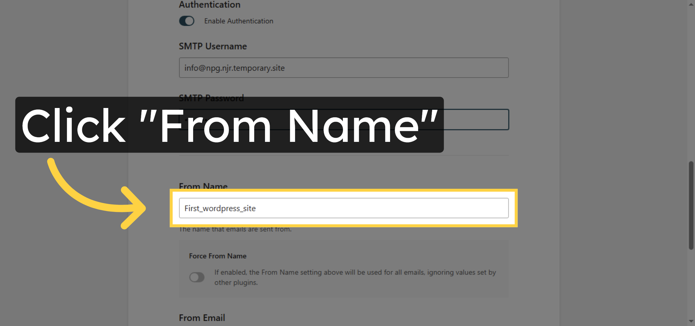 Select From Name Field
