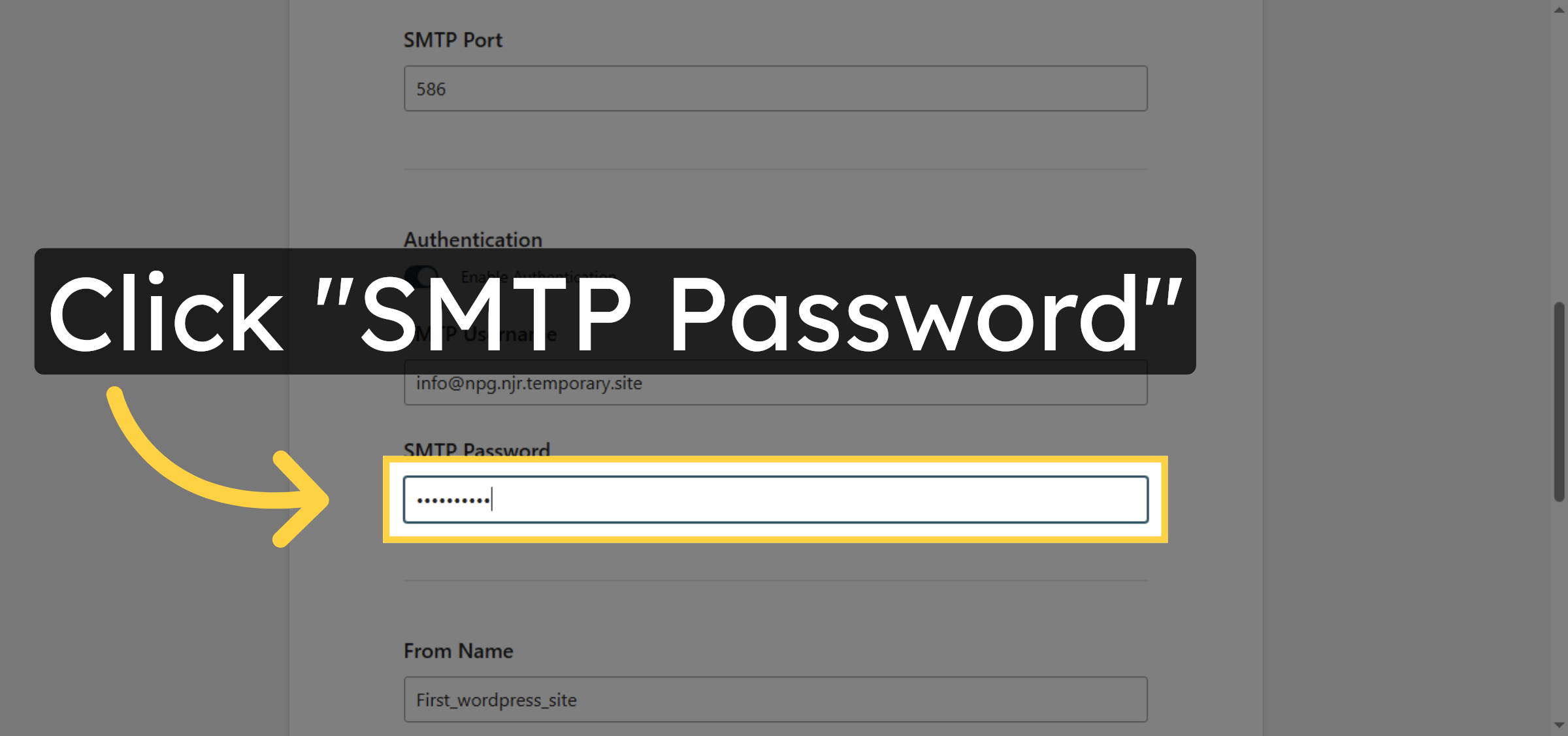 Select SMTP Password Field