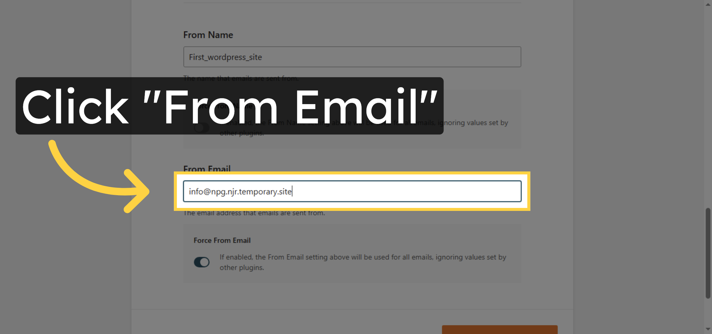 Select From Email Field