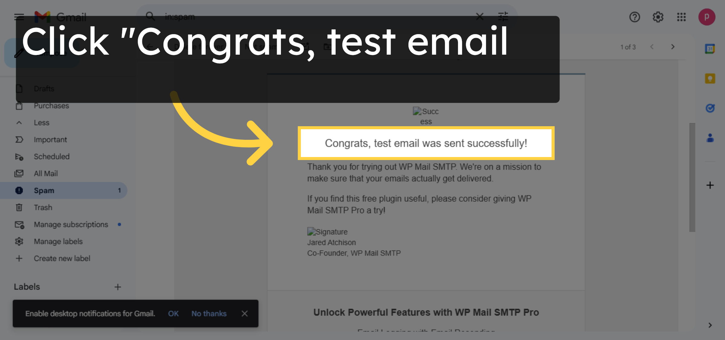 View Test Email Confirmation