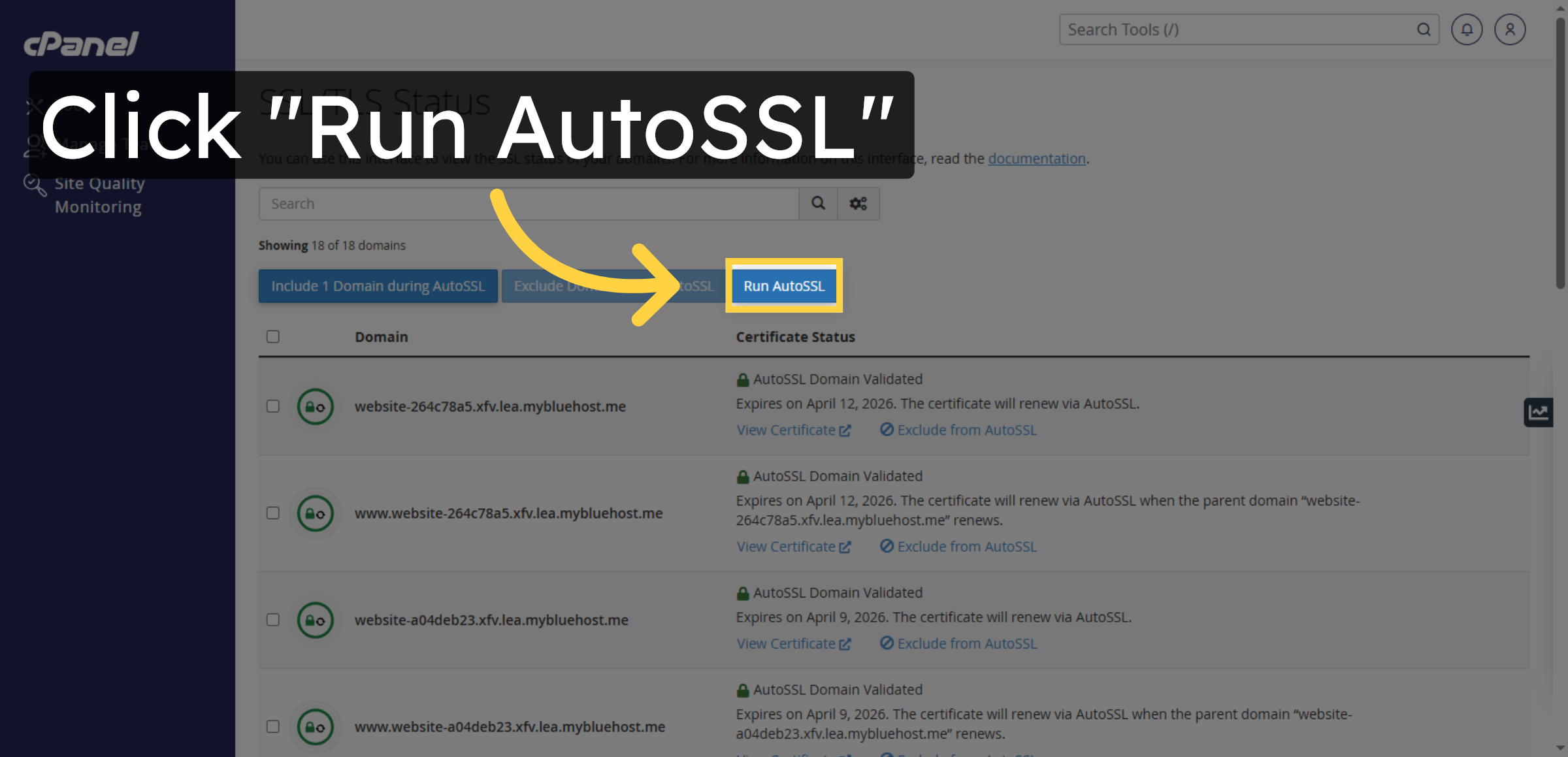 Run AutoSSL Process