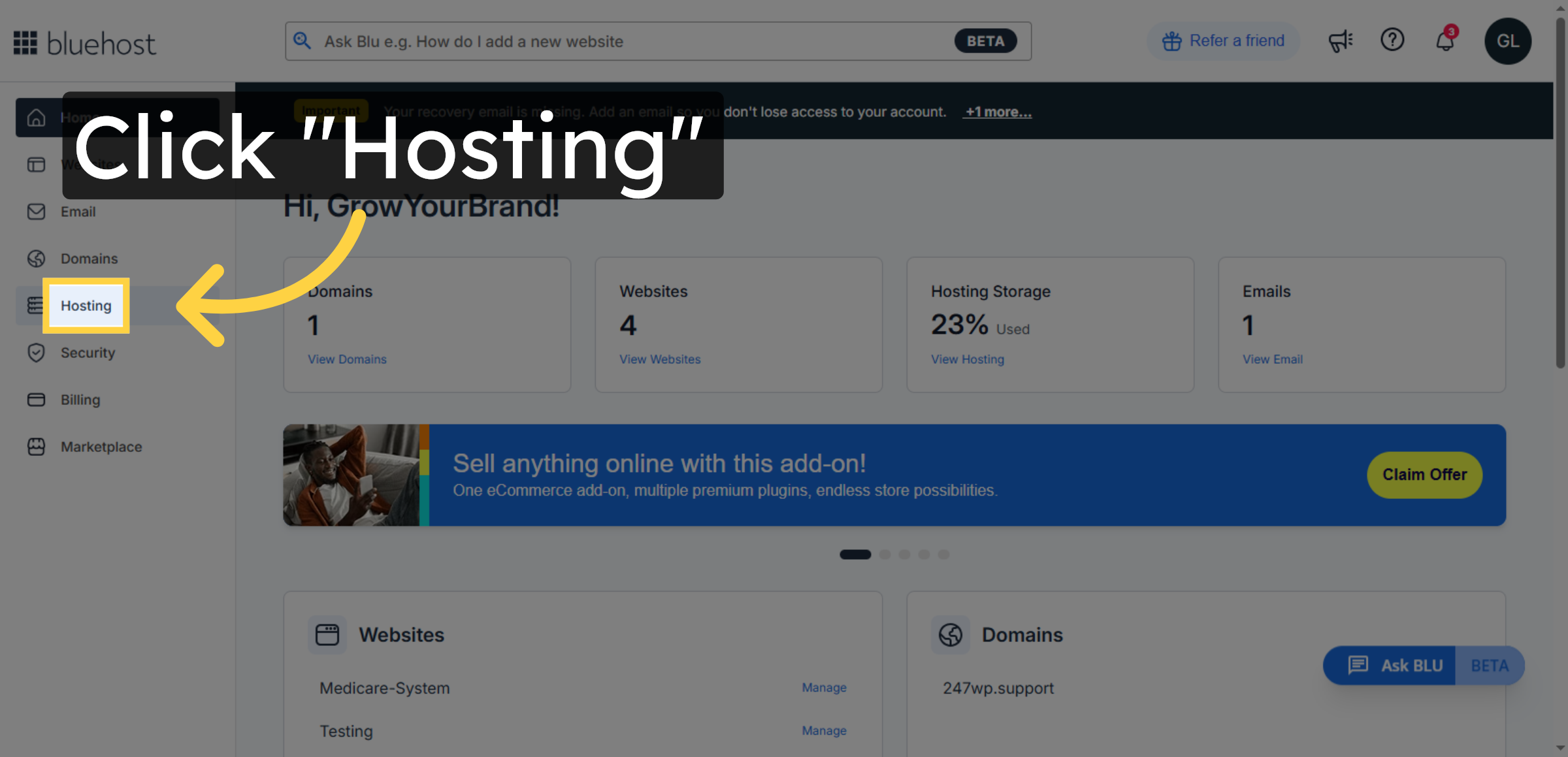 Access Hosting Section