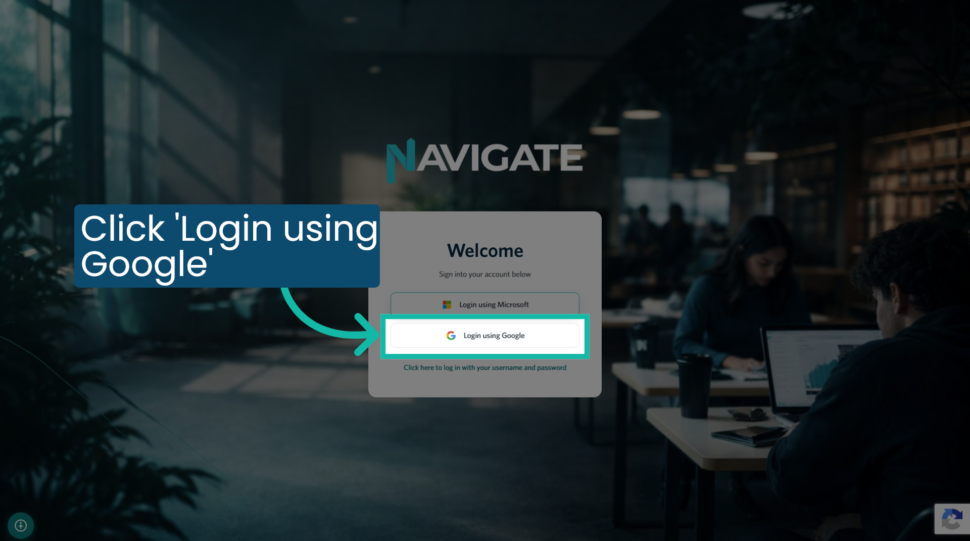 Click 'Login using Google'