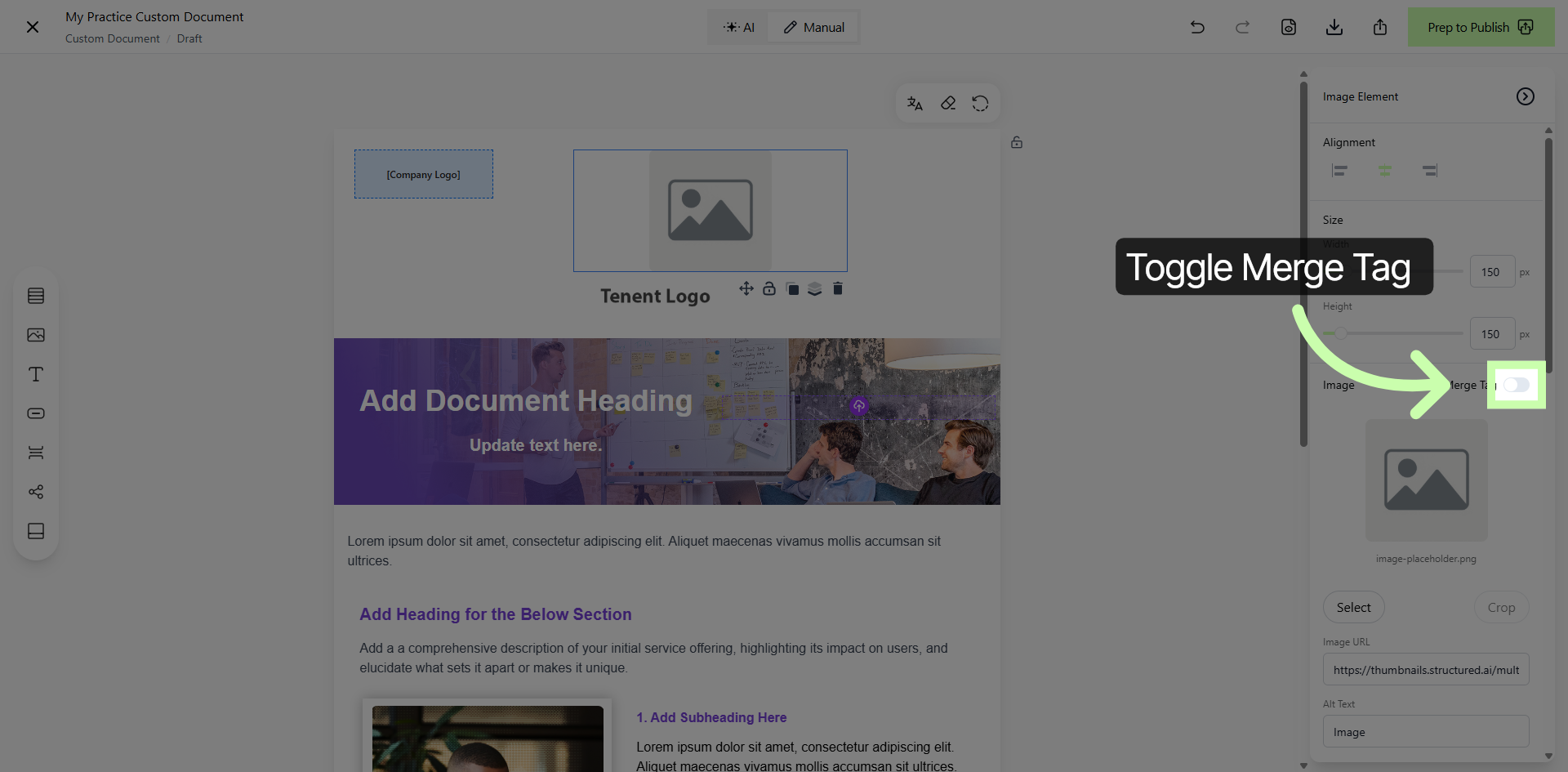 Toggle Merge Tag