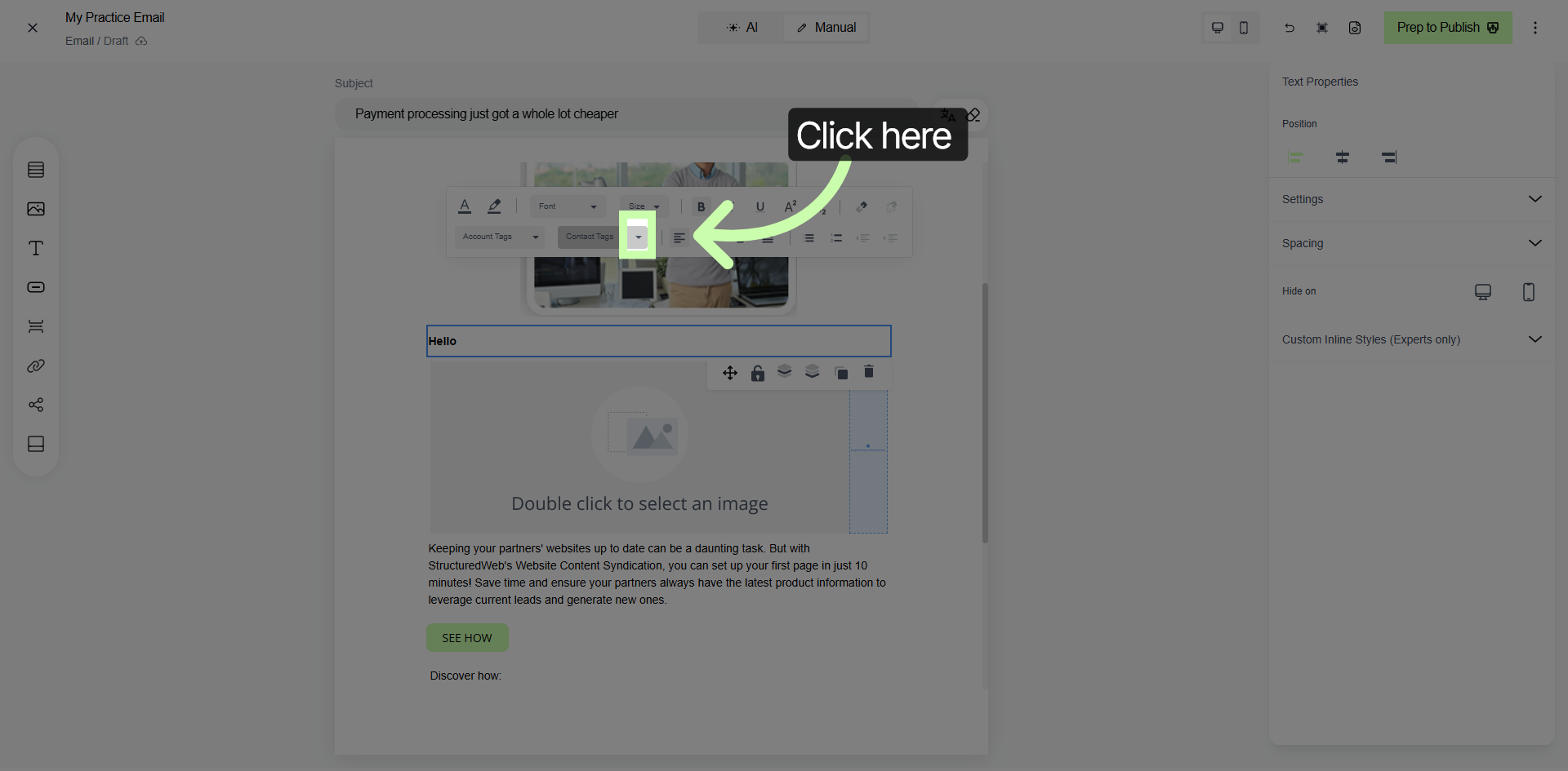 Access Text Editing Tools