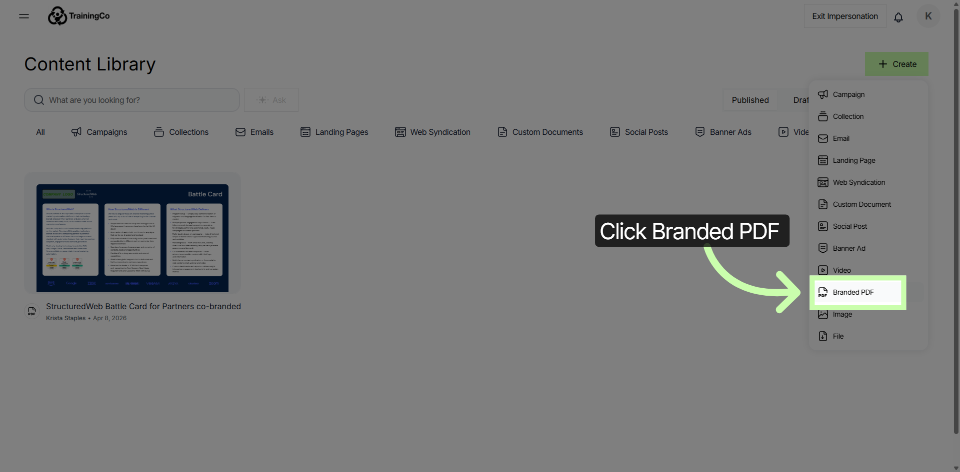 Choose Branded PDF Template