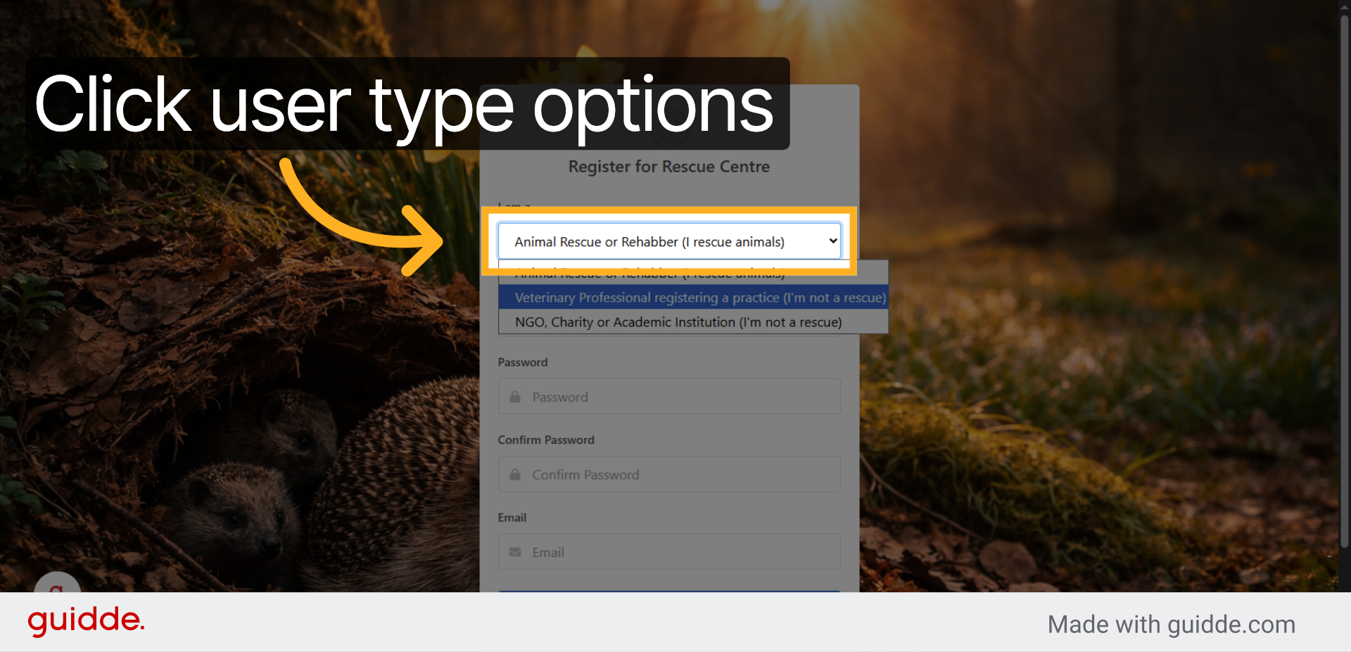 Choose User Type Options