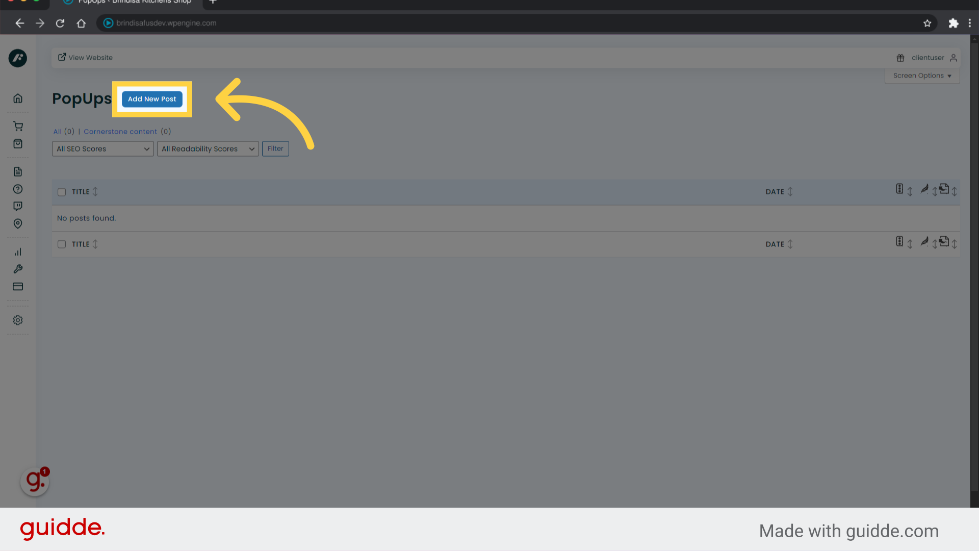 Click 'Add New Post'