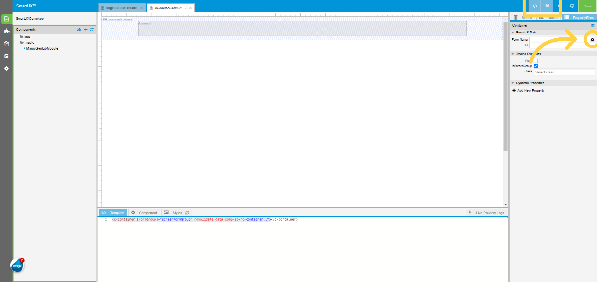 Enable Expanded View and View Code and Map Form Name to Container