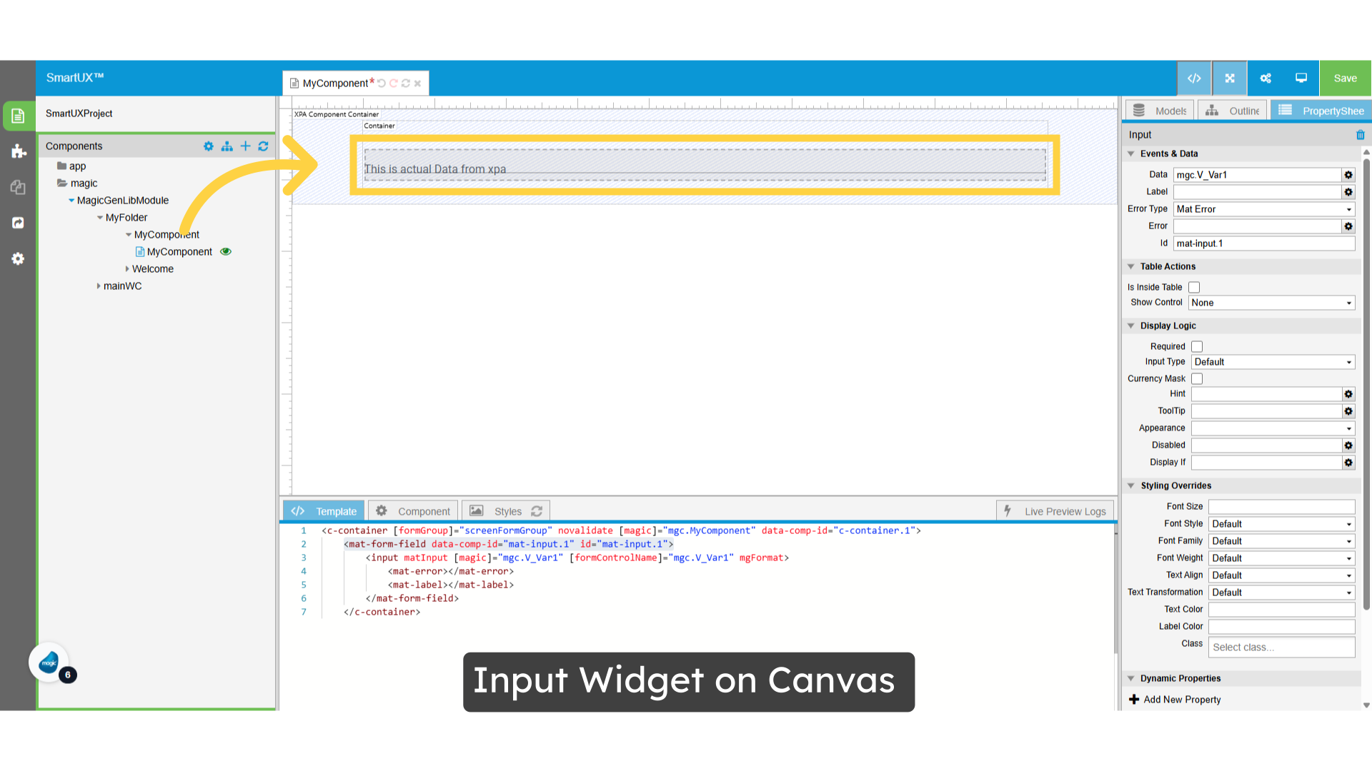 Input Widget on Canvas