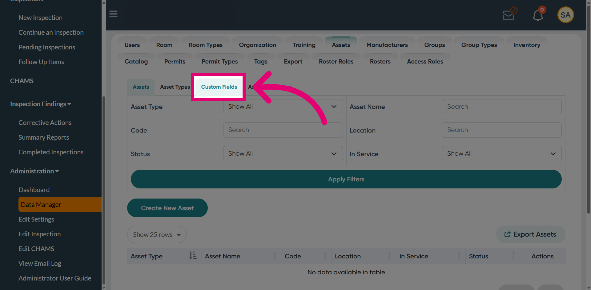 Access Custom Fields