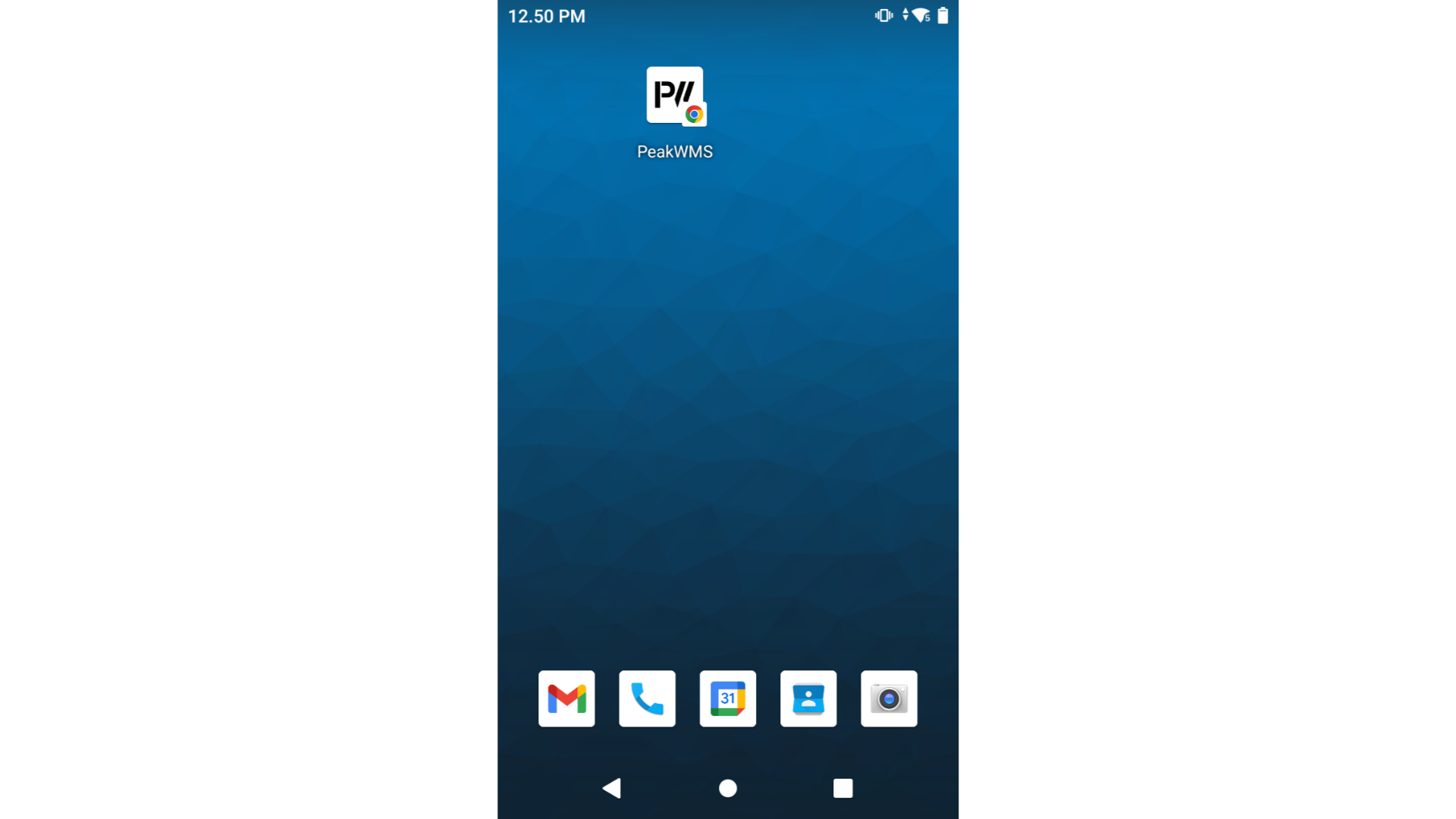 Gem PeakWMS som en app