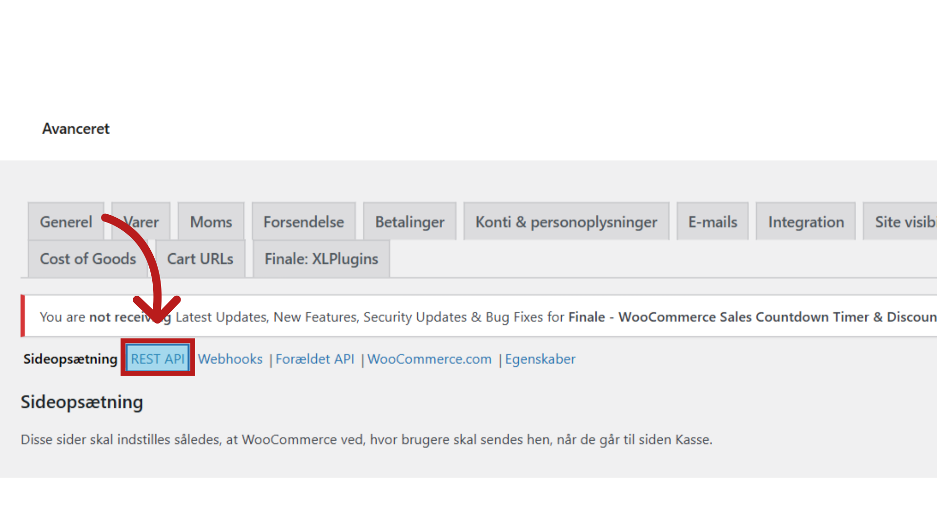 Klik 'REST API'