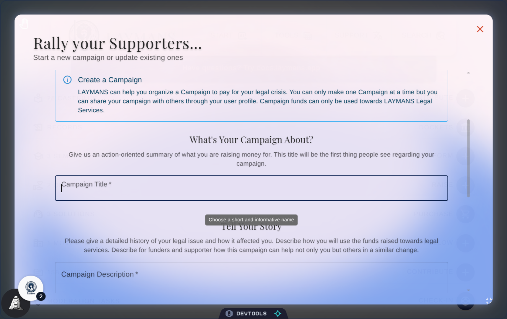 Describing your Campaign