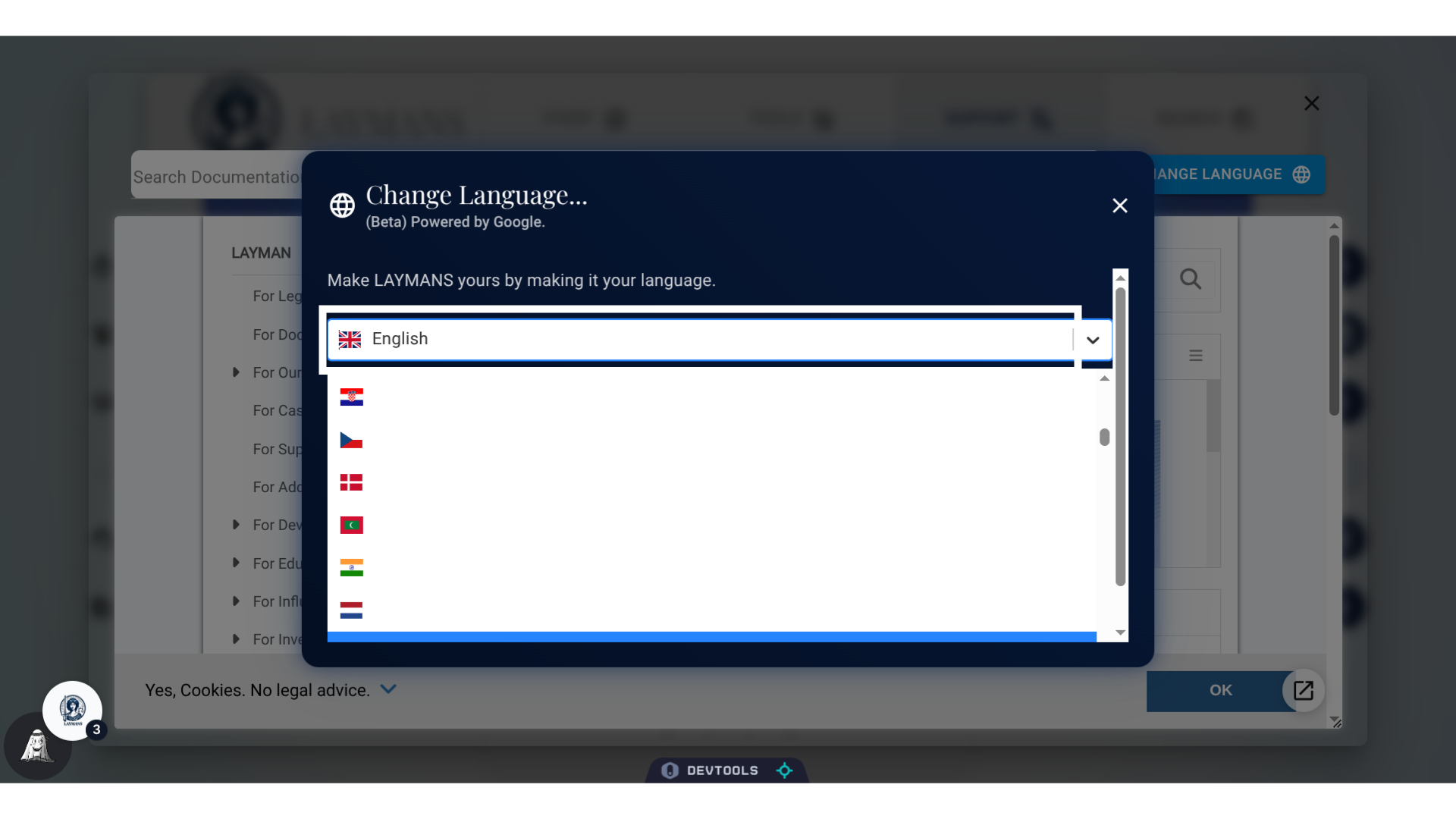 Focus the Language Window