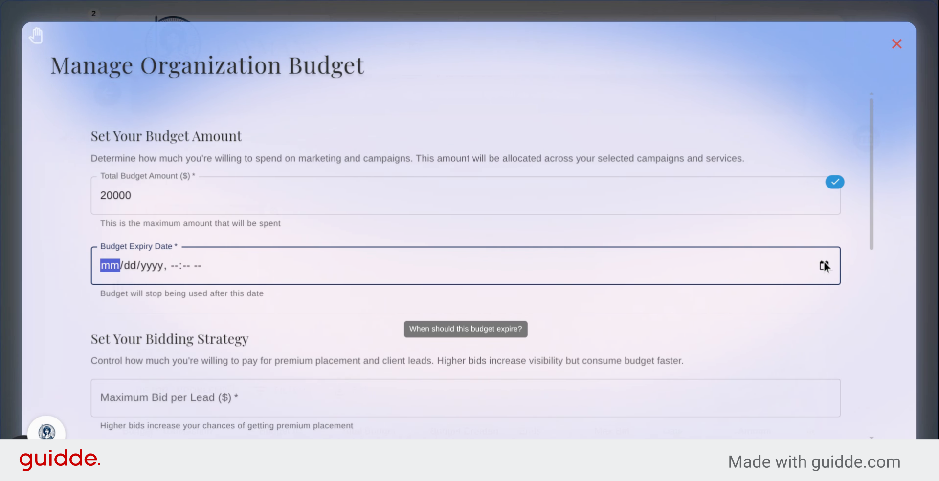 Set Budget Expiry Date