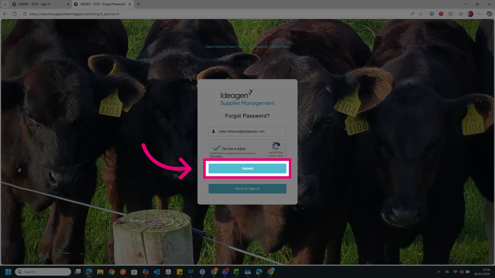 Submit Password Reset Request