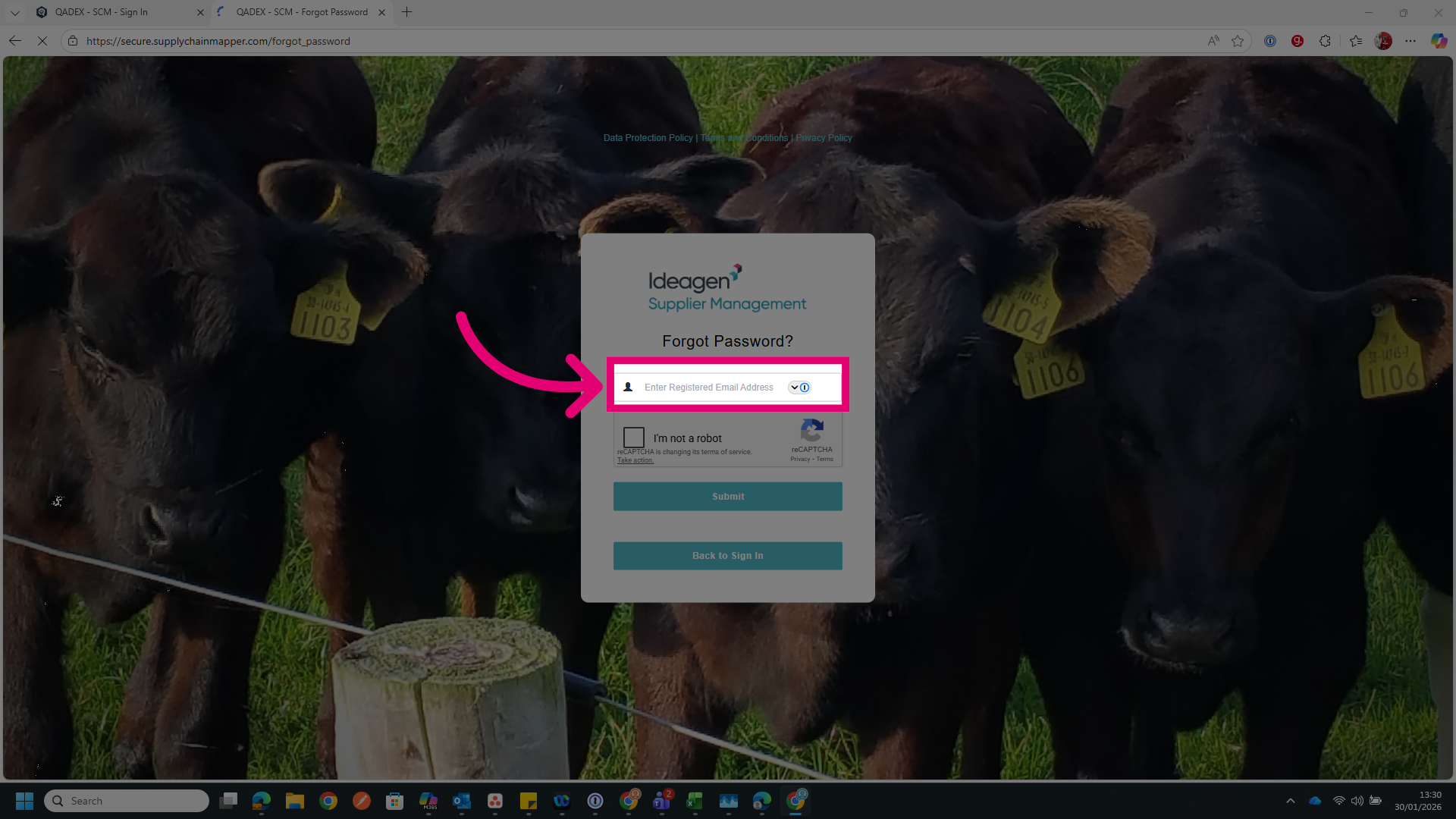 Enter Registered Email Address