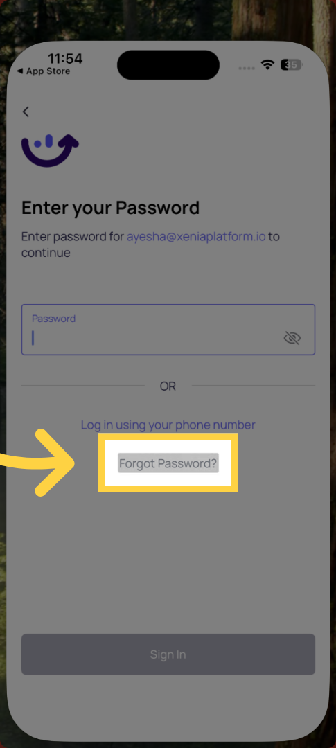 Access Password Recovery